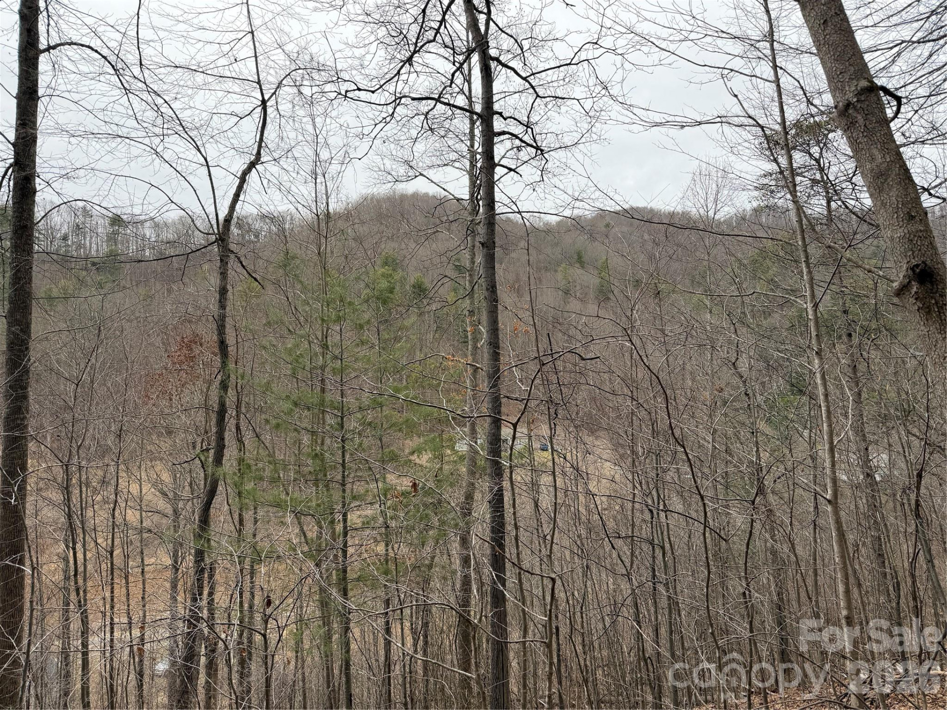 4958 Grapevine Road - Photo 20