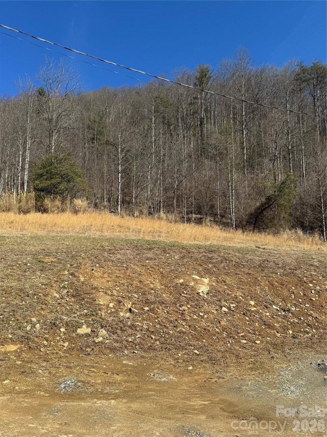 4958 Grapevine Road - Photo 5