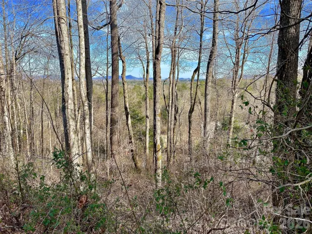 174 High Road Overlook None, Hendersonville, NC, 28739