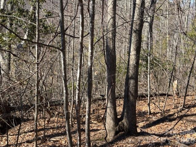 104 Smokehouse Way - Photo 2