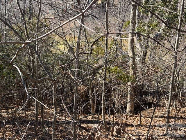 104 Smokehouse Way - Photo 3