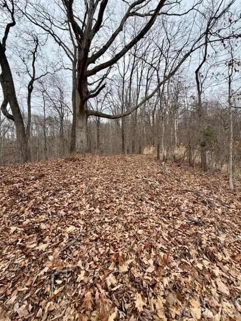 201 Glen Valley Drive - Photo 6