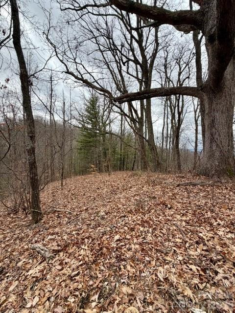 201 Glen Valley Drive - Photo 8