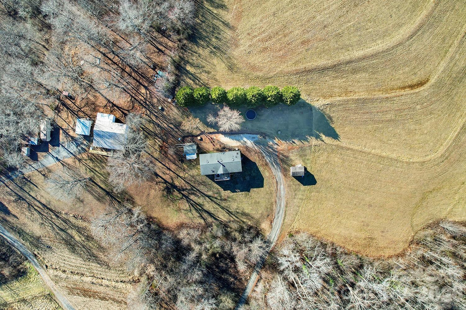 150 Pasture Trail - Photo 4