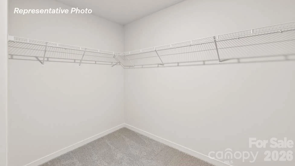 10012 Dancing Crane Lane - Photo 19