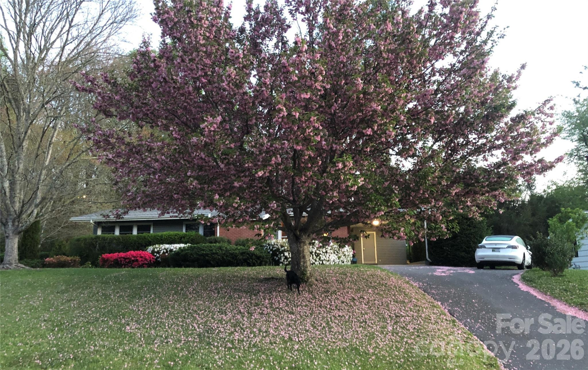 317 Allison Road - Photo 24