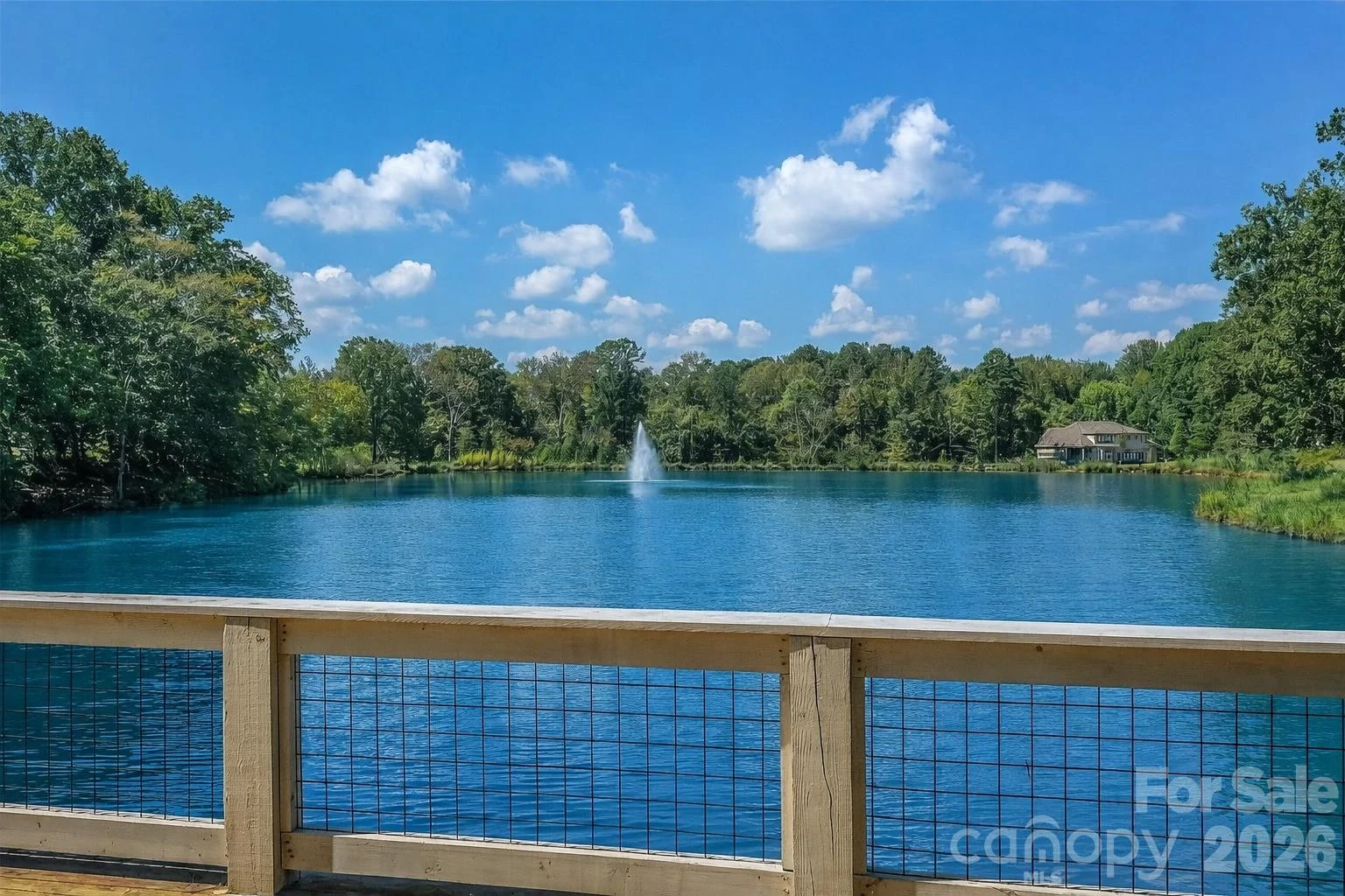 111 River Birch Lane - Photo 5