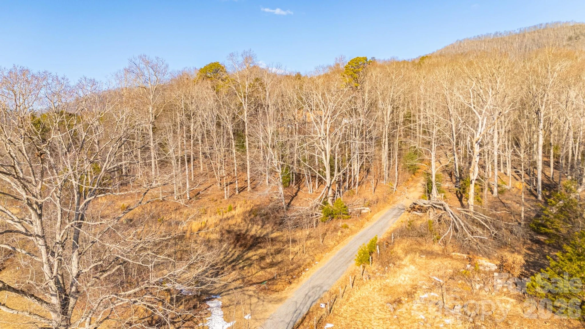 TBD Mystic View Lane - Photo 20