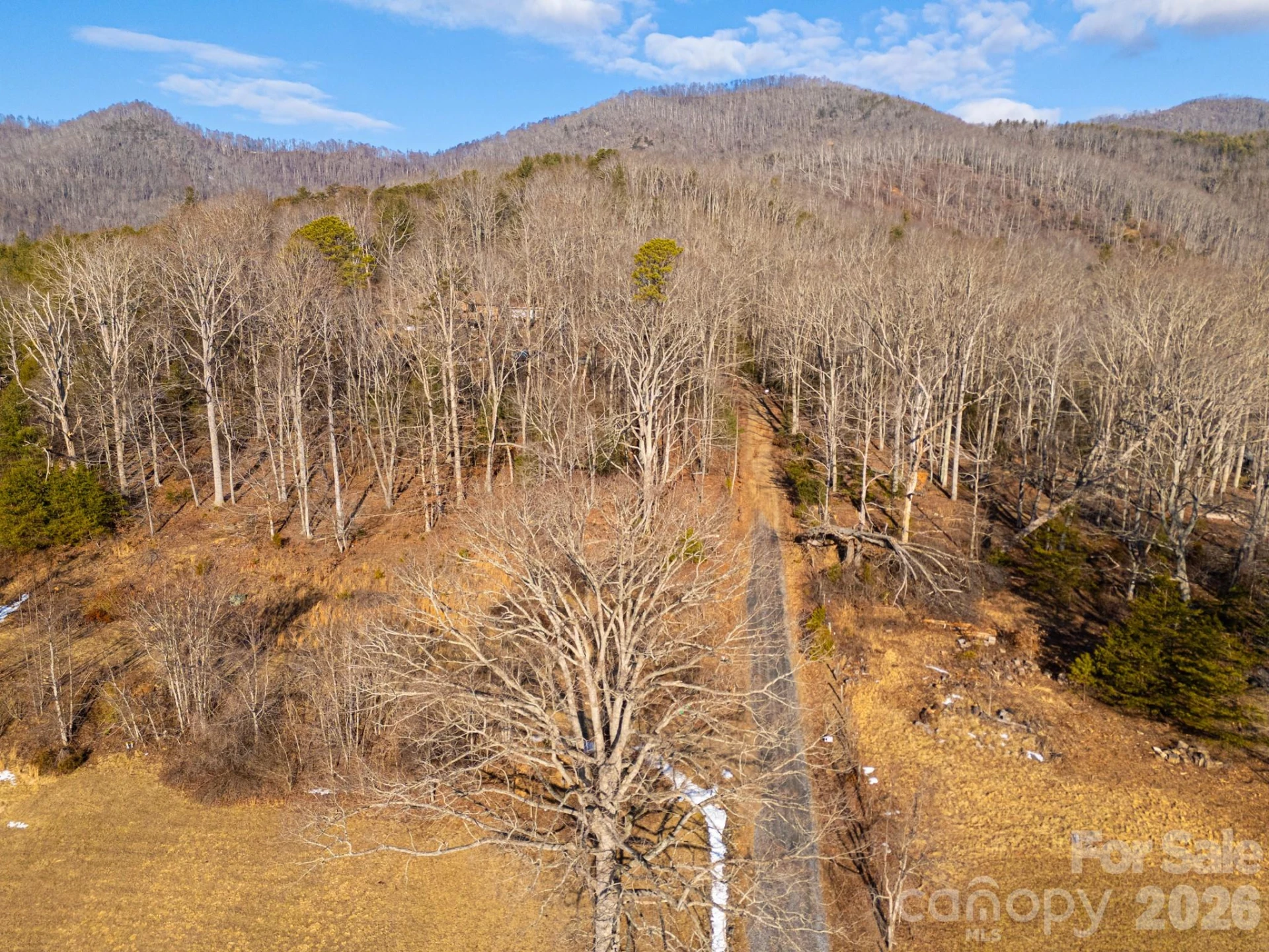 TBD Mystic View Lane - Photo 22