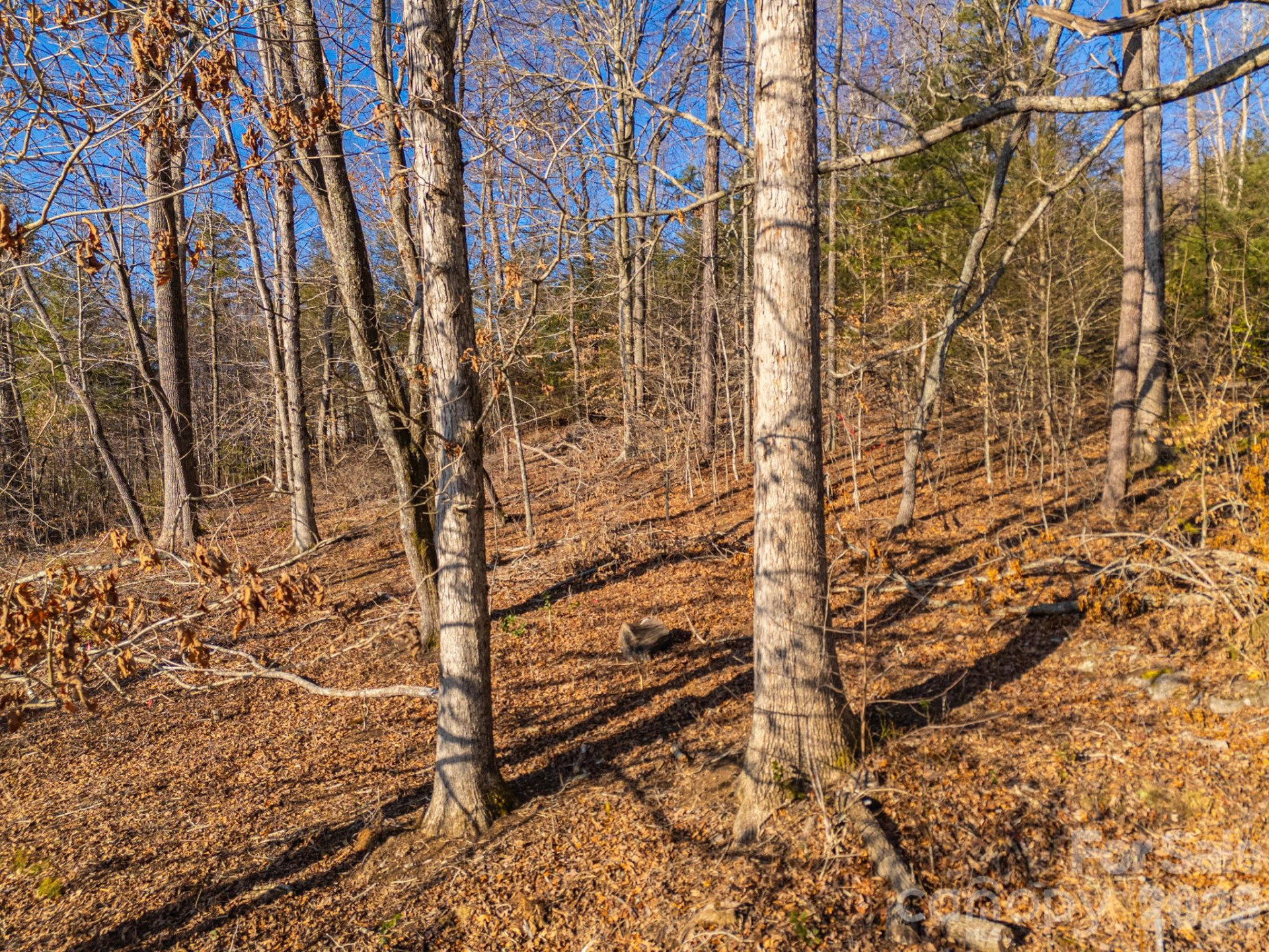 TBD Mystic View Lane - Photo 24