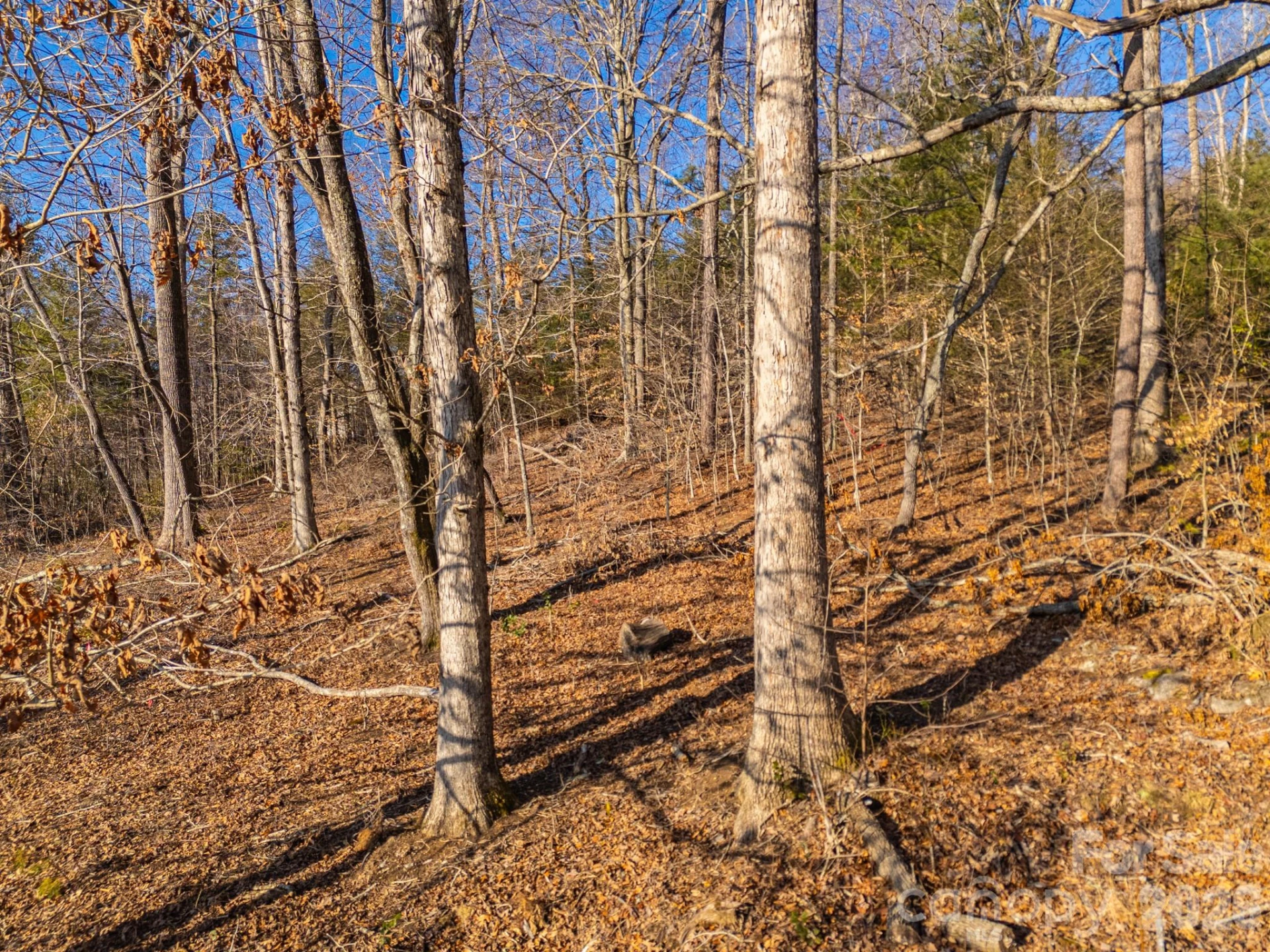 TBD Mystic View Lane - Photo 24