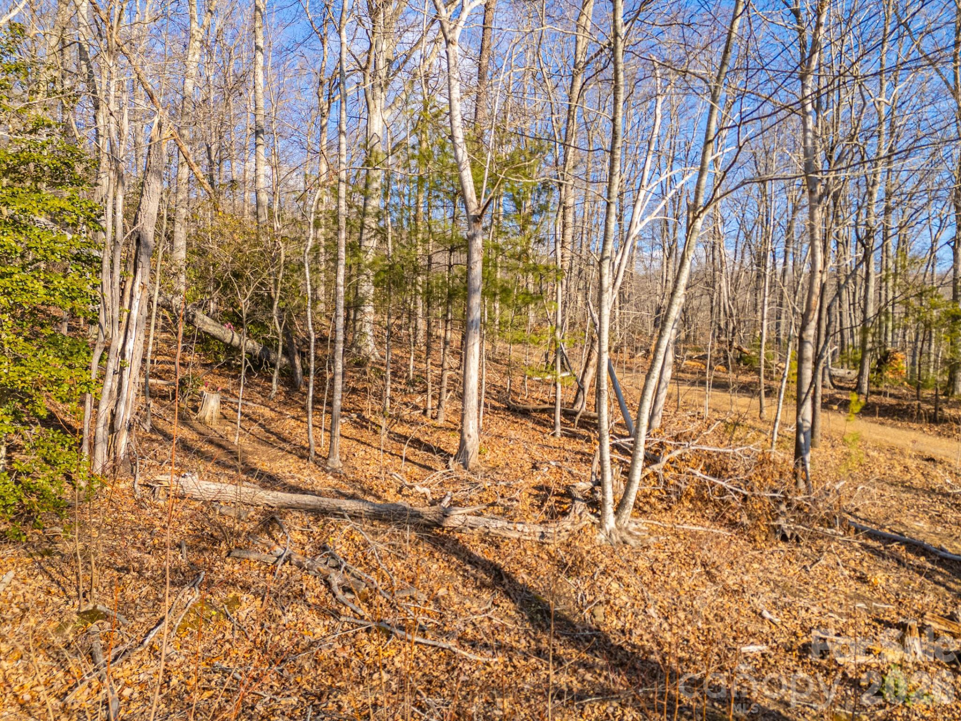 TBD Mystic View Lane - Photo 25