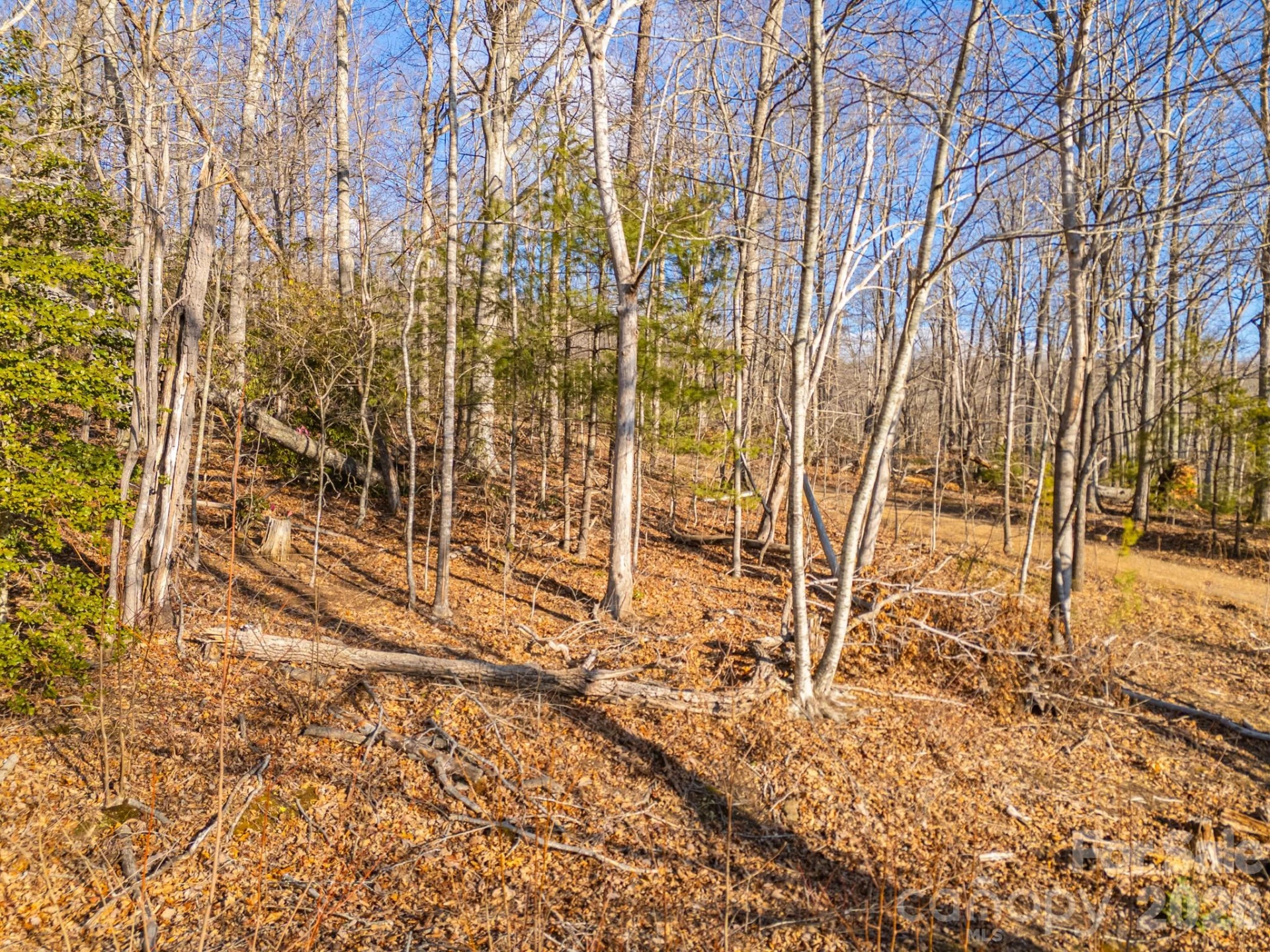 TBD Mystic View Lane - Photo 25