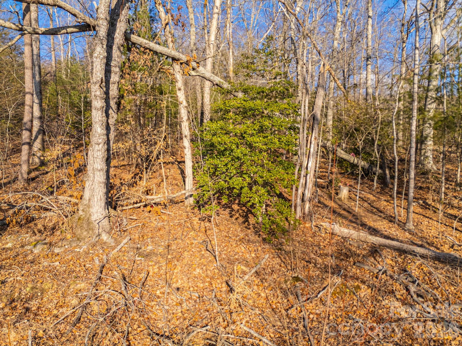 TBD Mystic View Lane - Photo 27