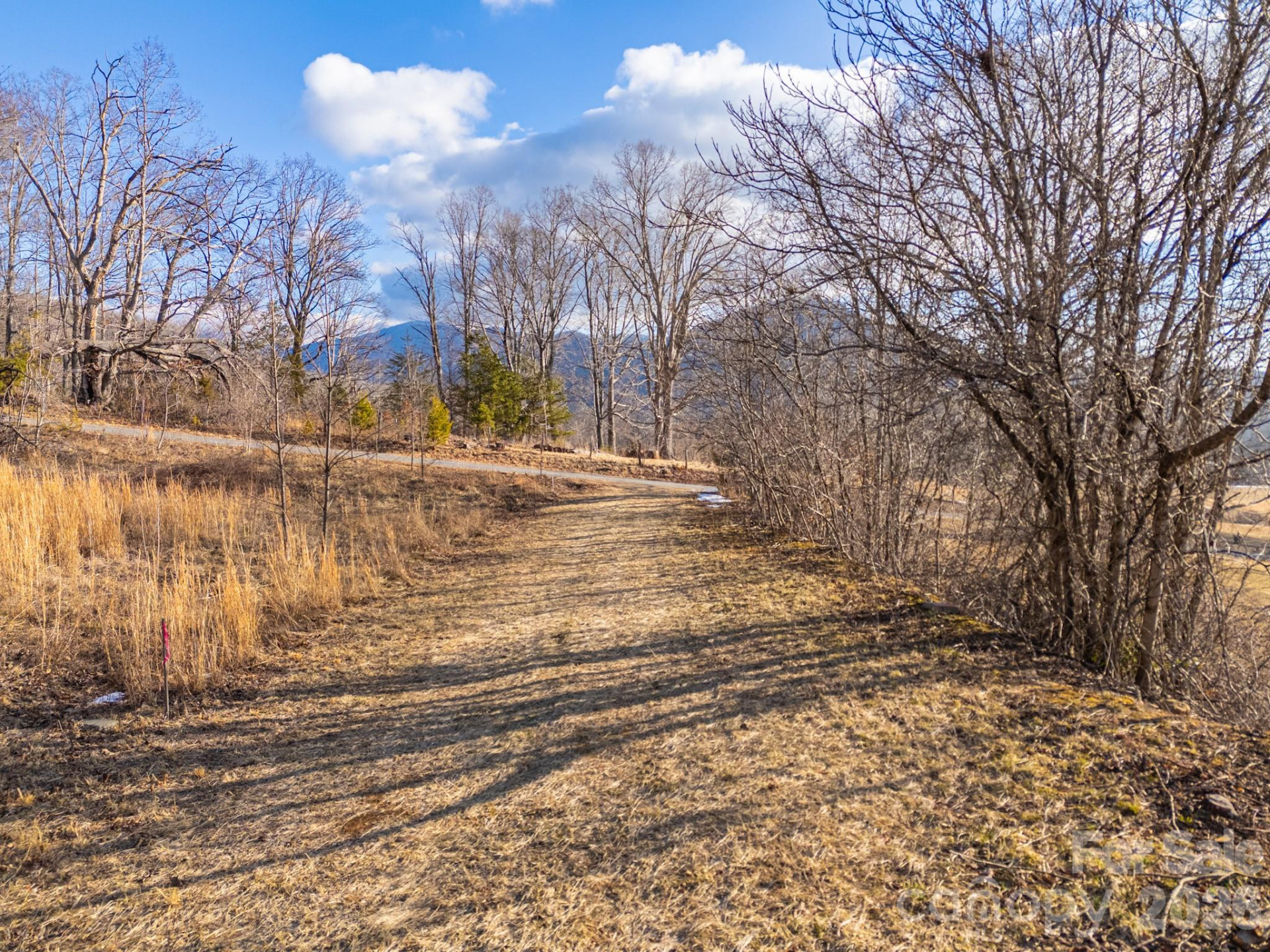 TBD Mystic View Lane - Photo 28