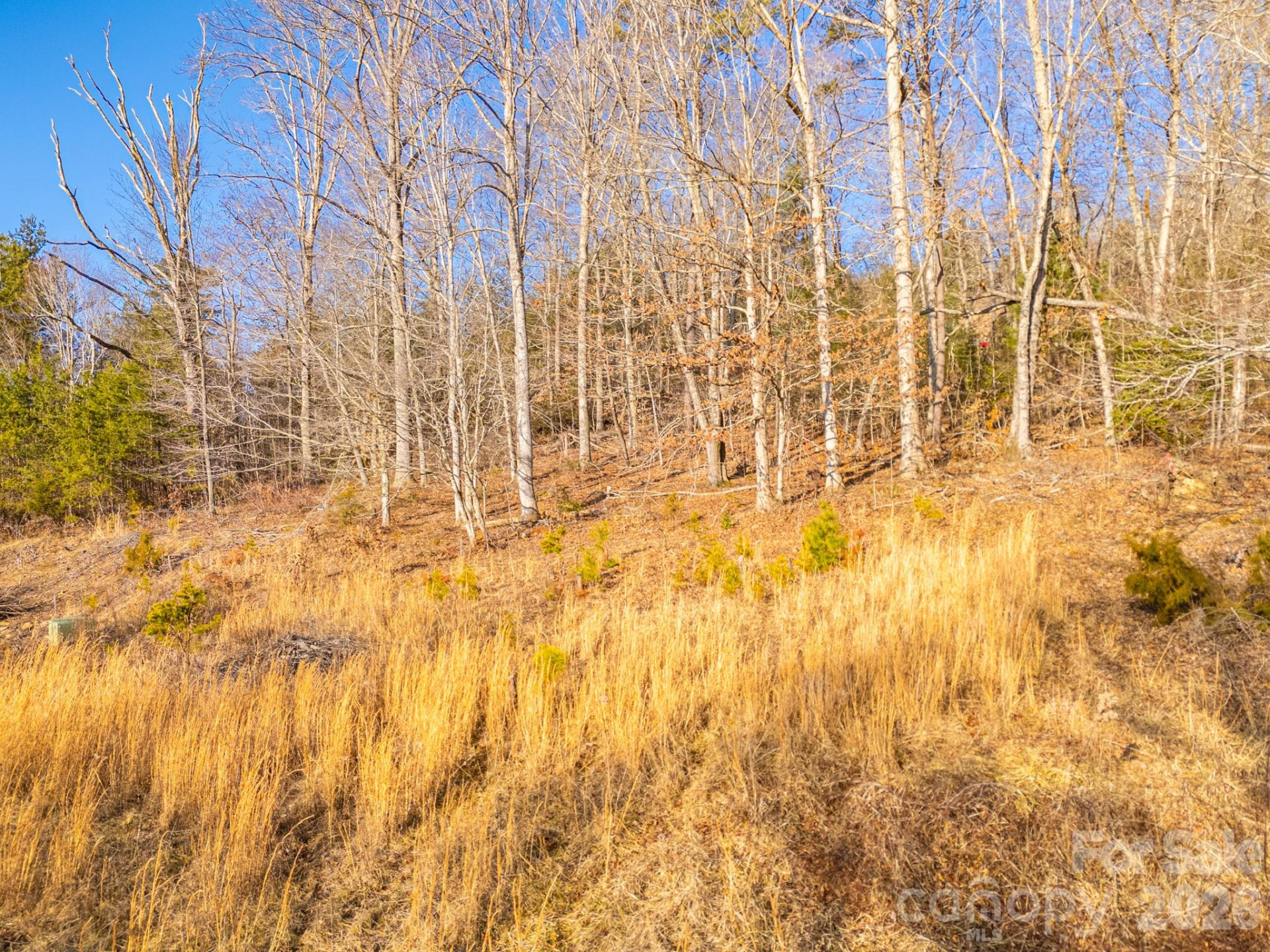 TBD Mystic View Lane - Photo 30