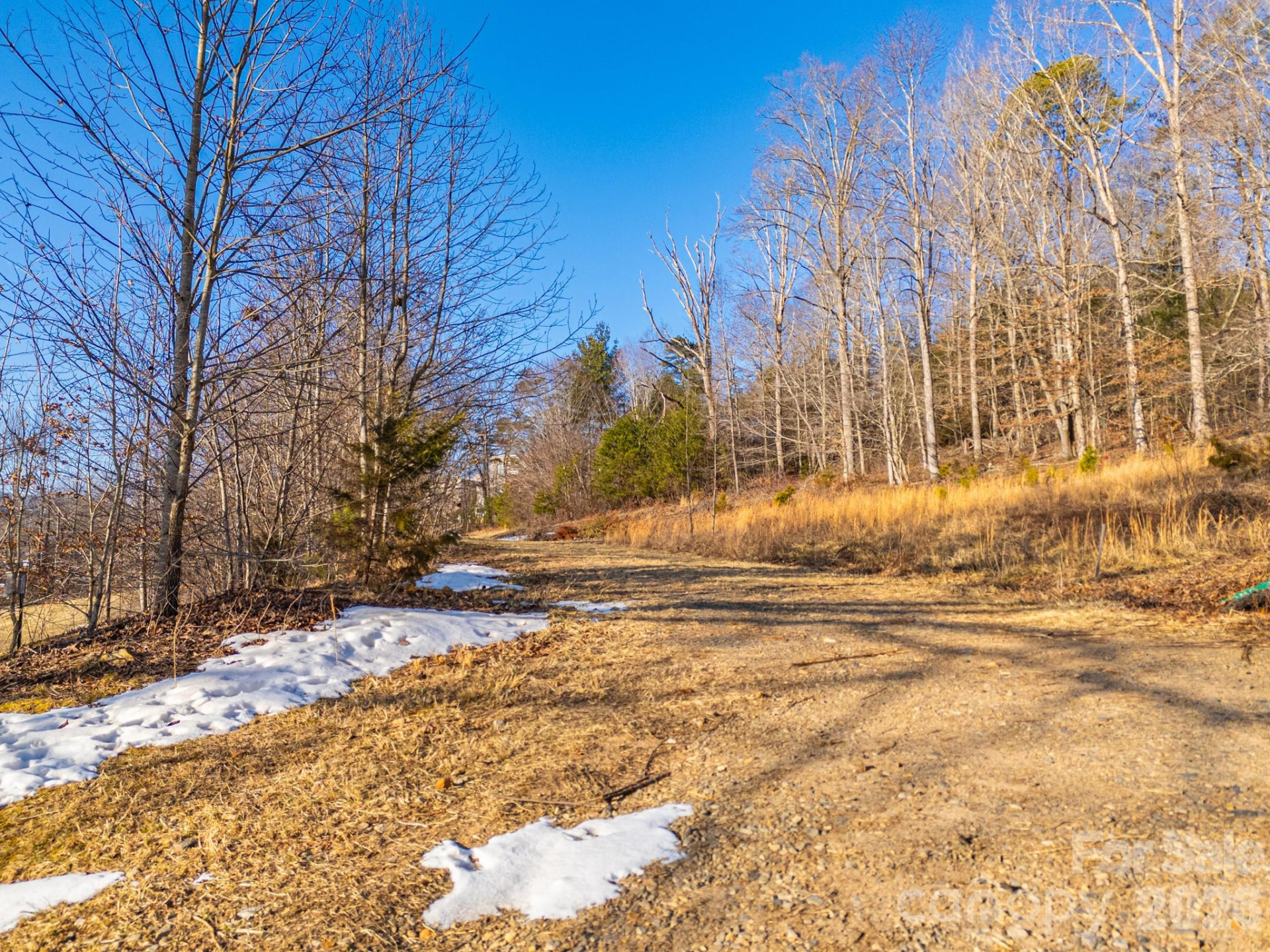 TBD Mystic View Lane - Photo 31