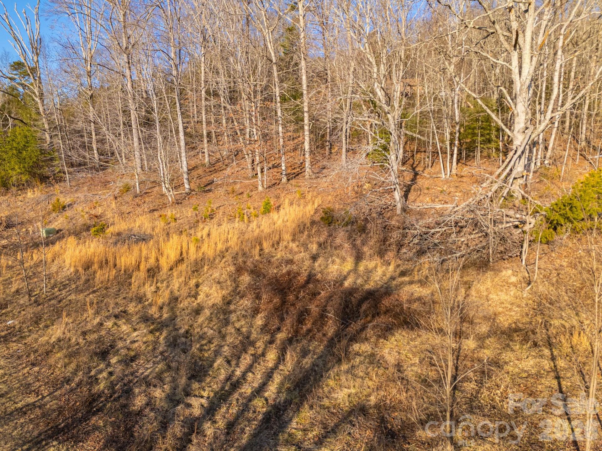 TBD Mystic View Lane - Photo 33