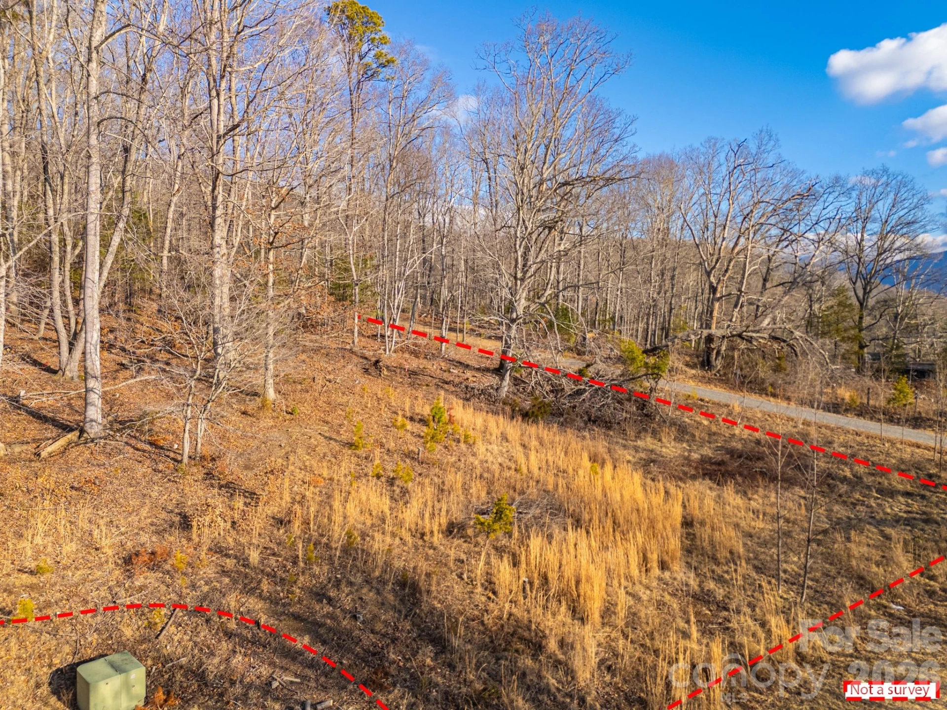 TBD Mystic View Lane - Photo 37