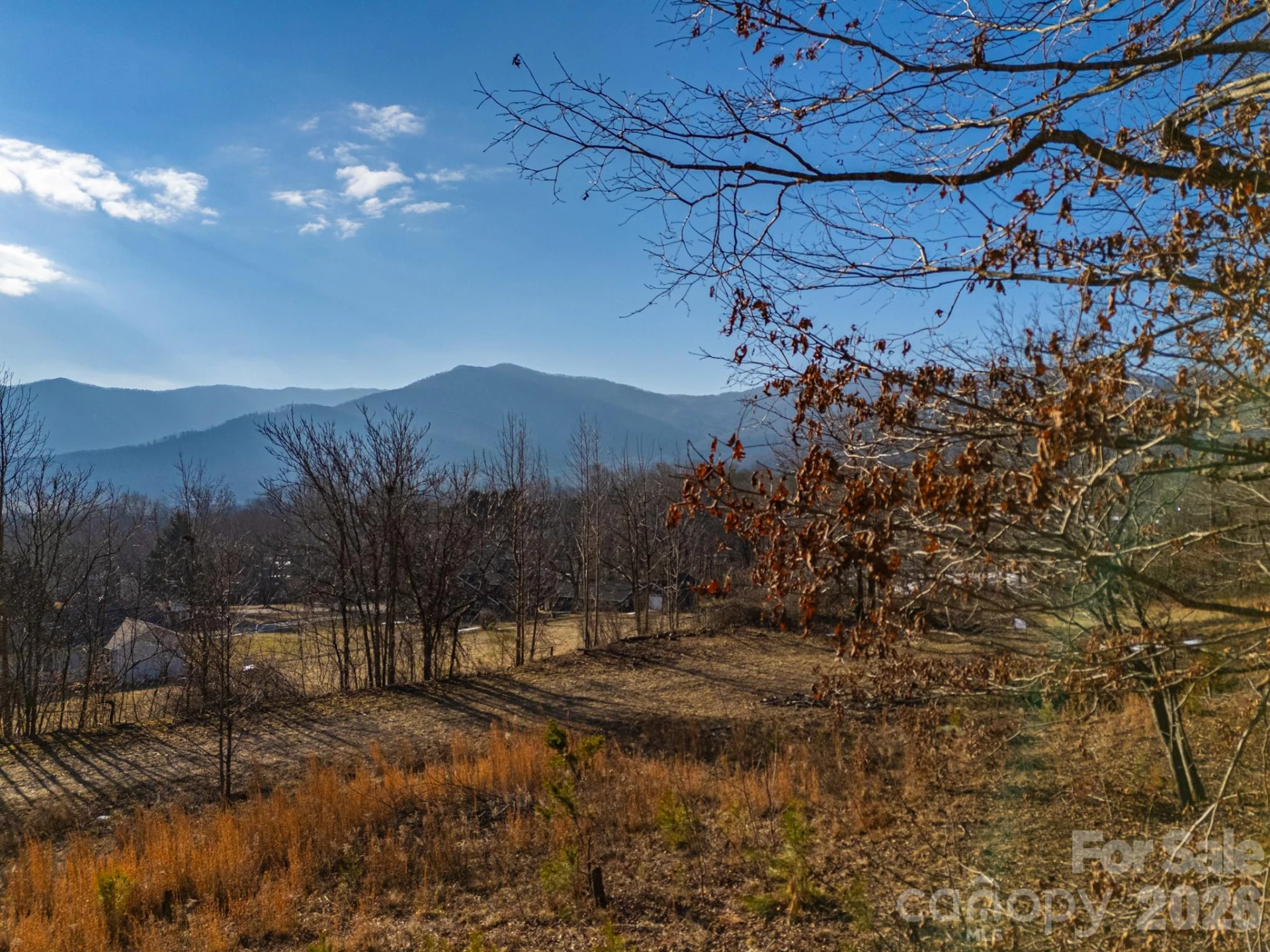 TBD Mystic View Lane - Photo 5