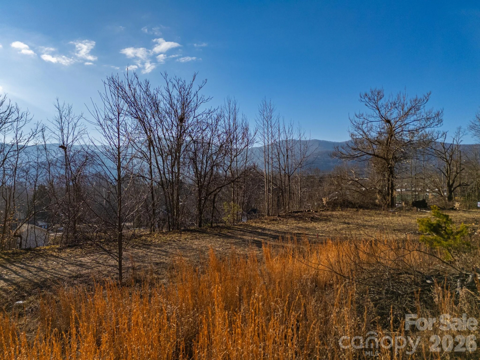 TBD Mystic View Lane - Photo 9