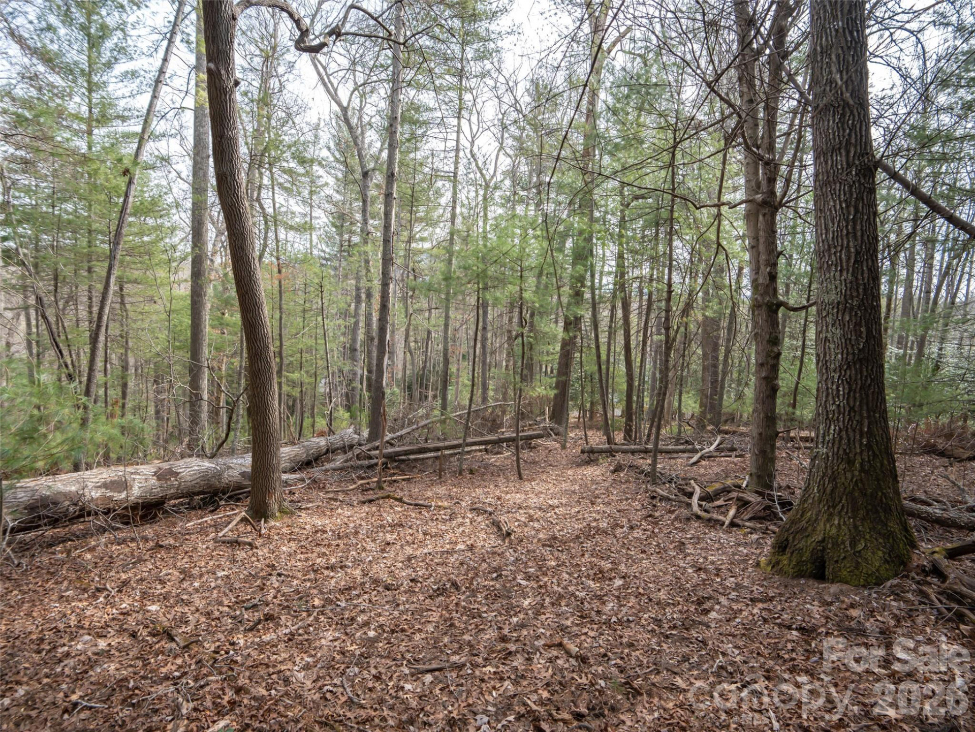 9999 Cedar Hill Drive #12 - Photo 11