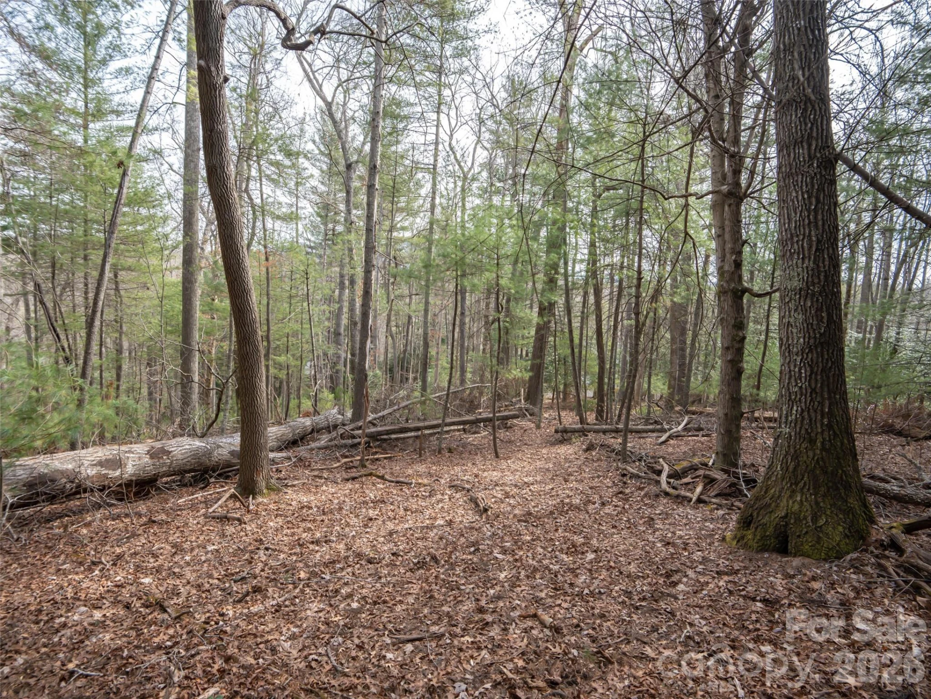 9999 Cedar Hill Drive #12 - Photo 11
