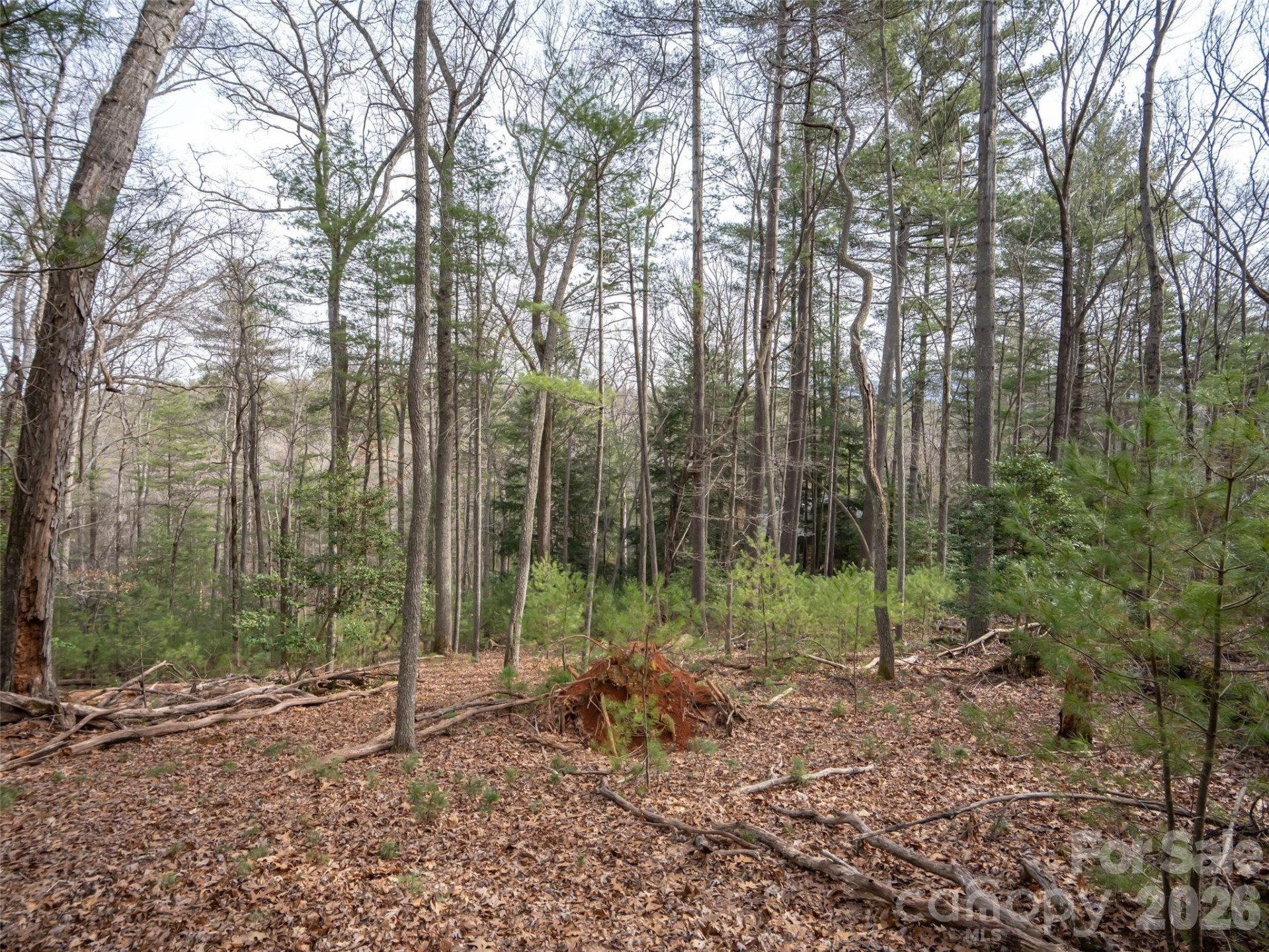 9999 Cedar Hill Drive #12 - Photo 15