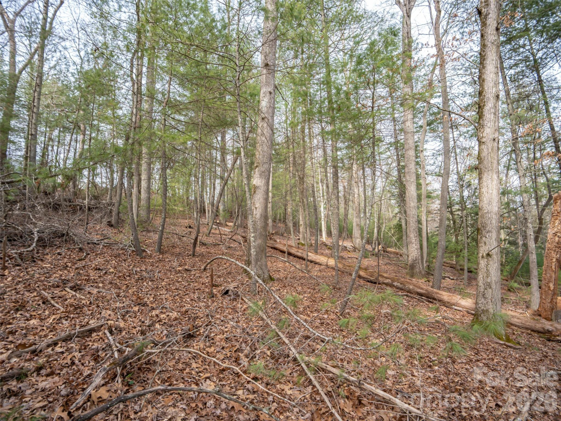 9999 Cedar Hill Drive #12 - Photo 16