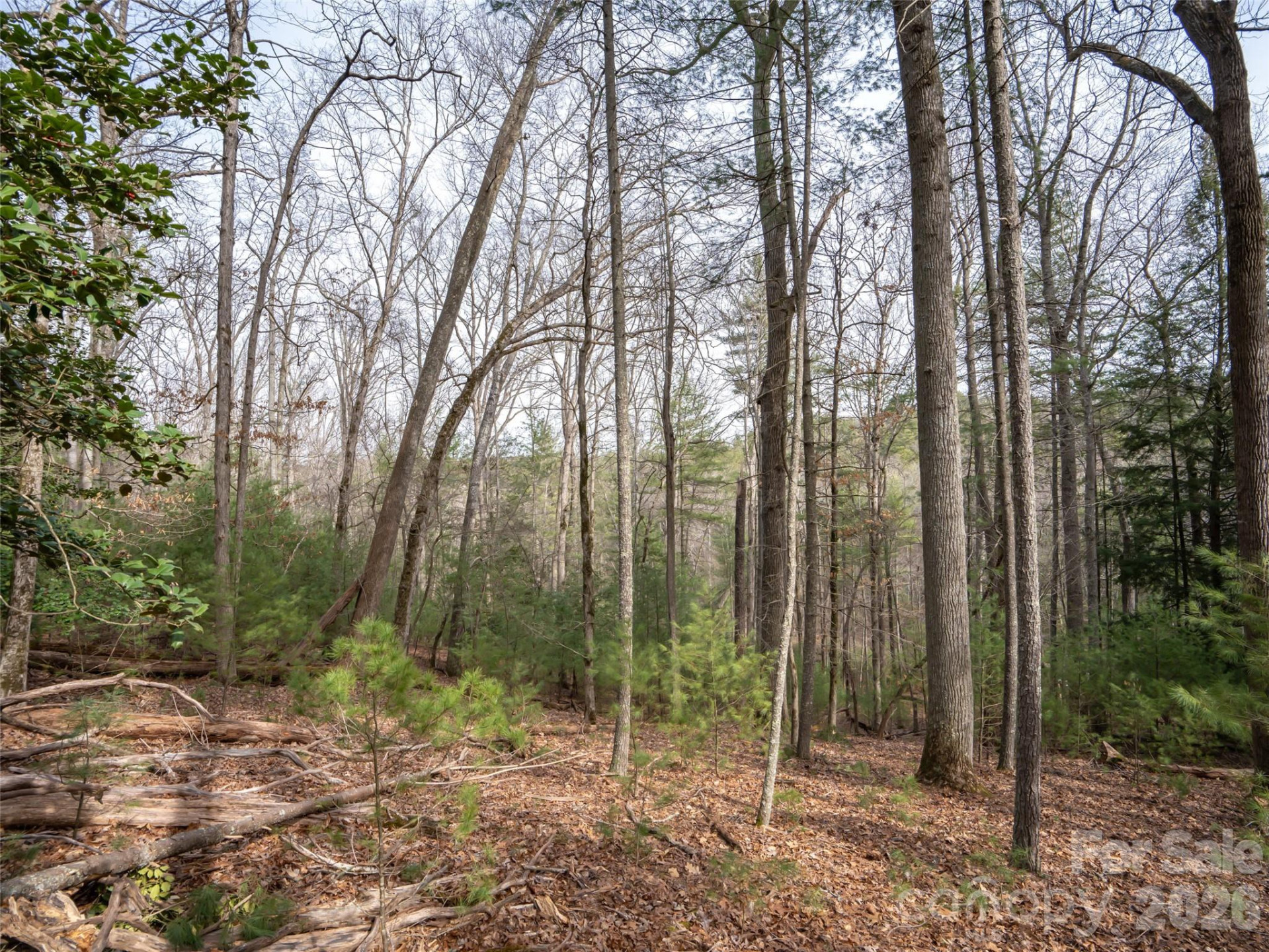 9999 Cedar Hill Drive #12 - Photo 17