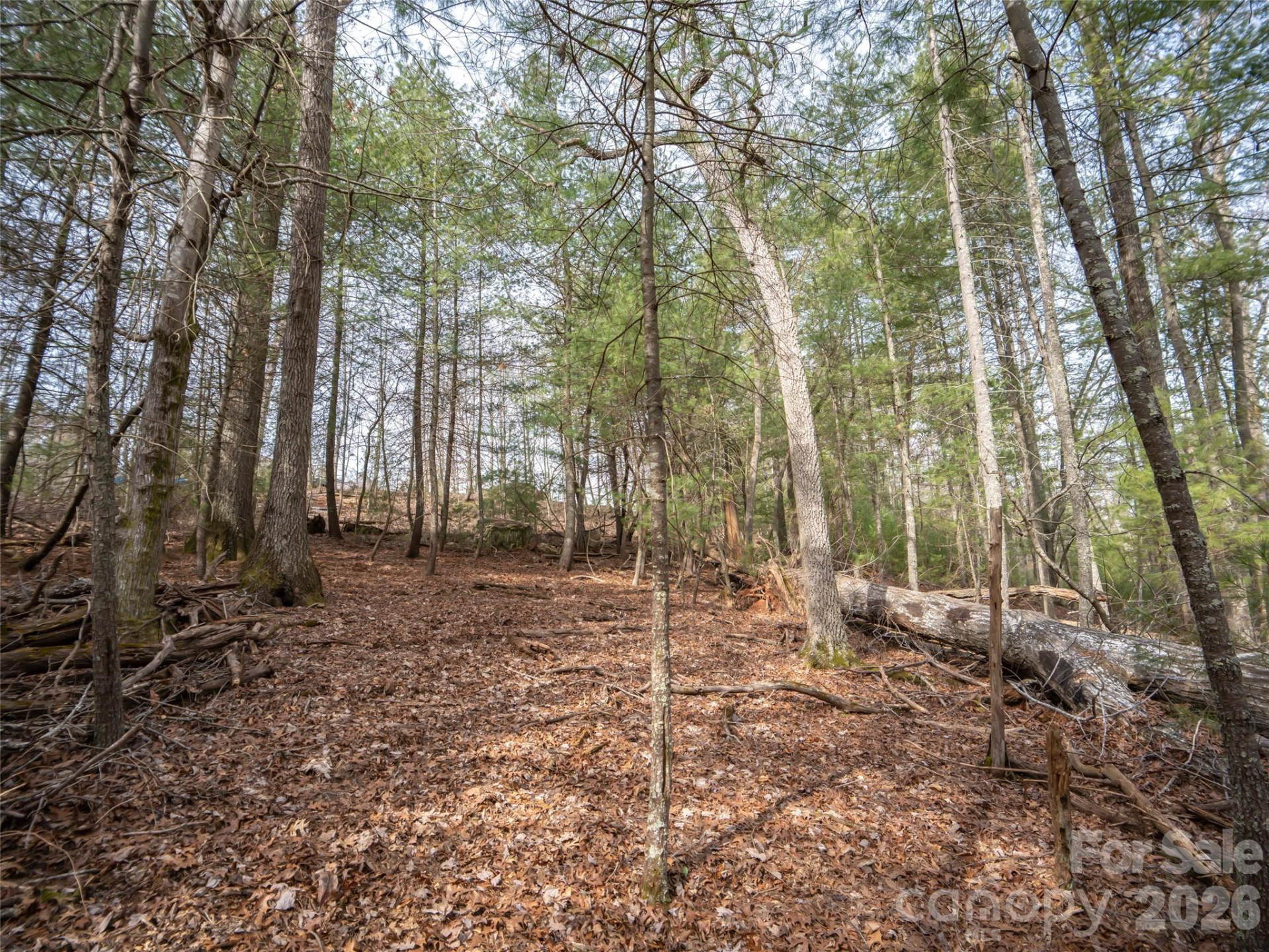 9999 Cedar Hill Drive #12 - Photo 18