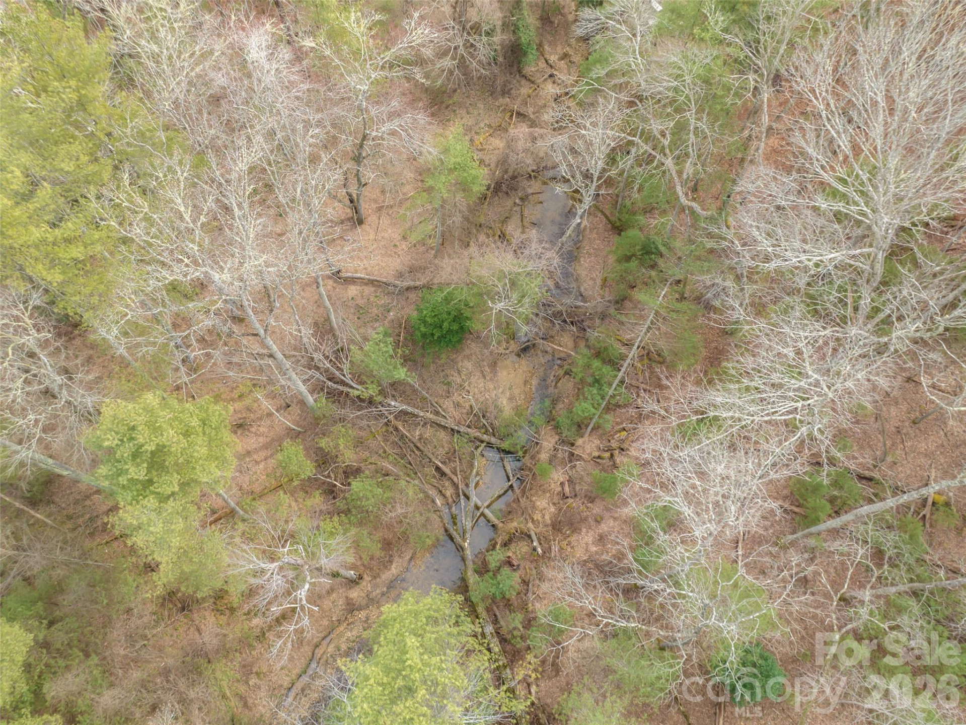 9999 Cedar Hill Drive #12 - Photo 24