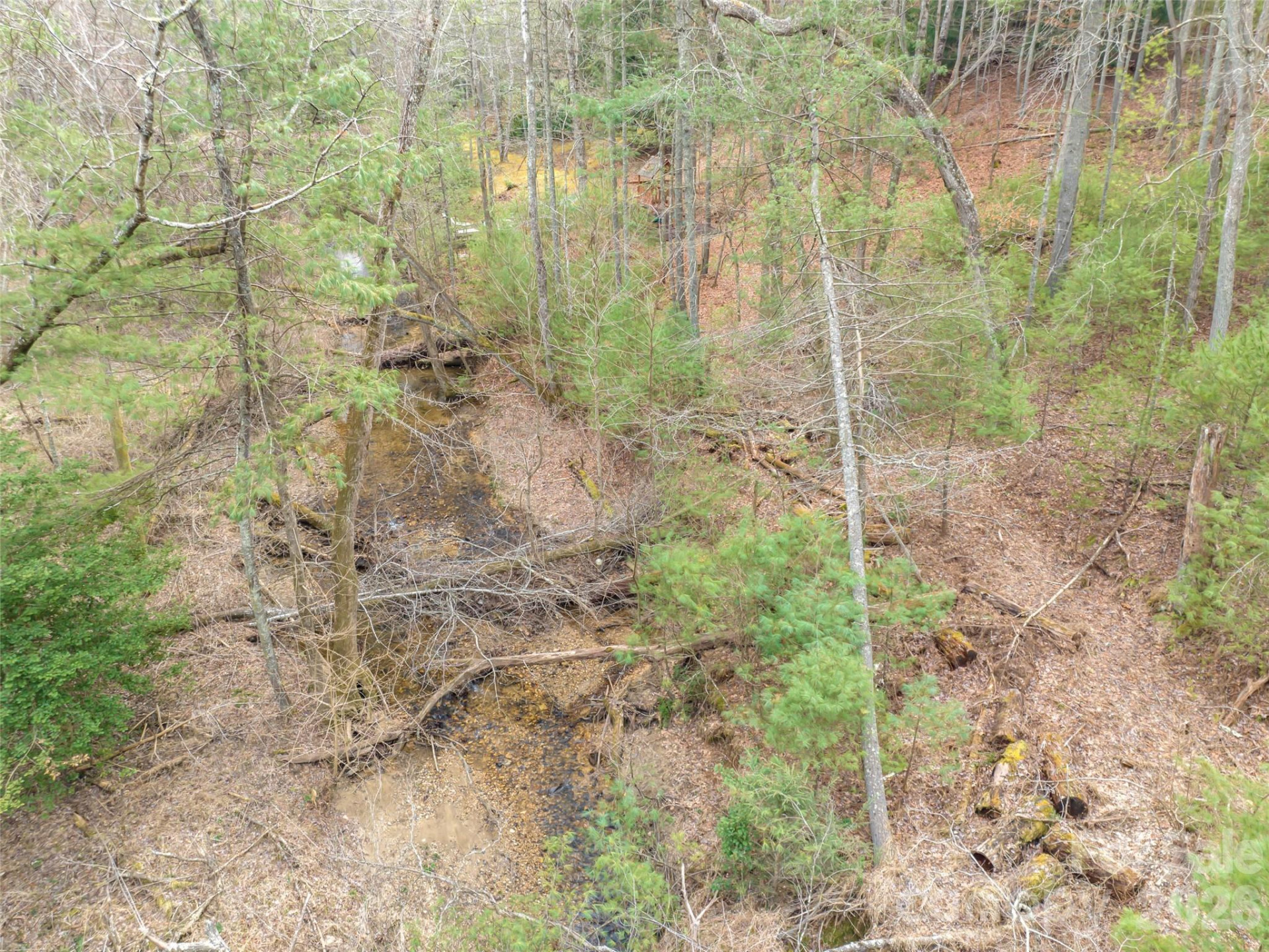 9999 Cedar Hill Drive #12 - Photo 25