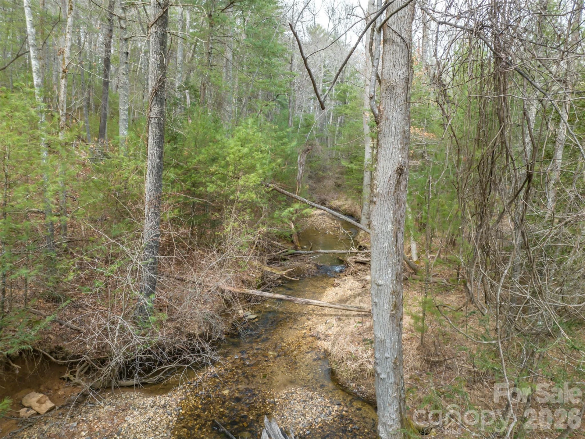 9999 Cedar Hill Drive #12 - Photo 27