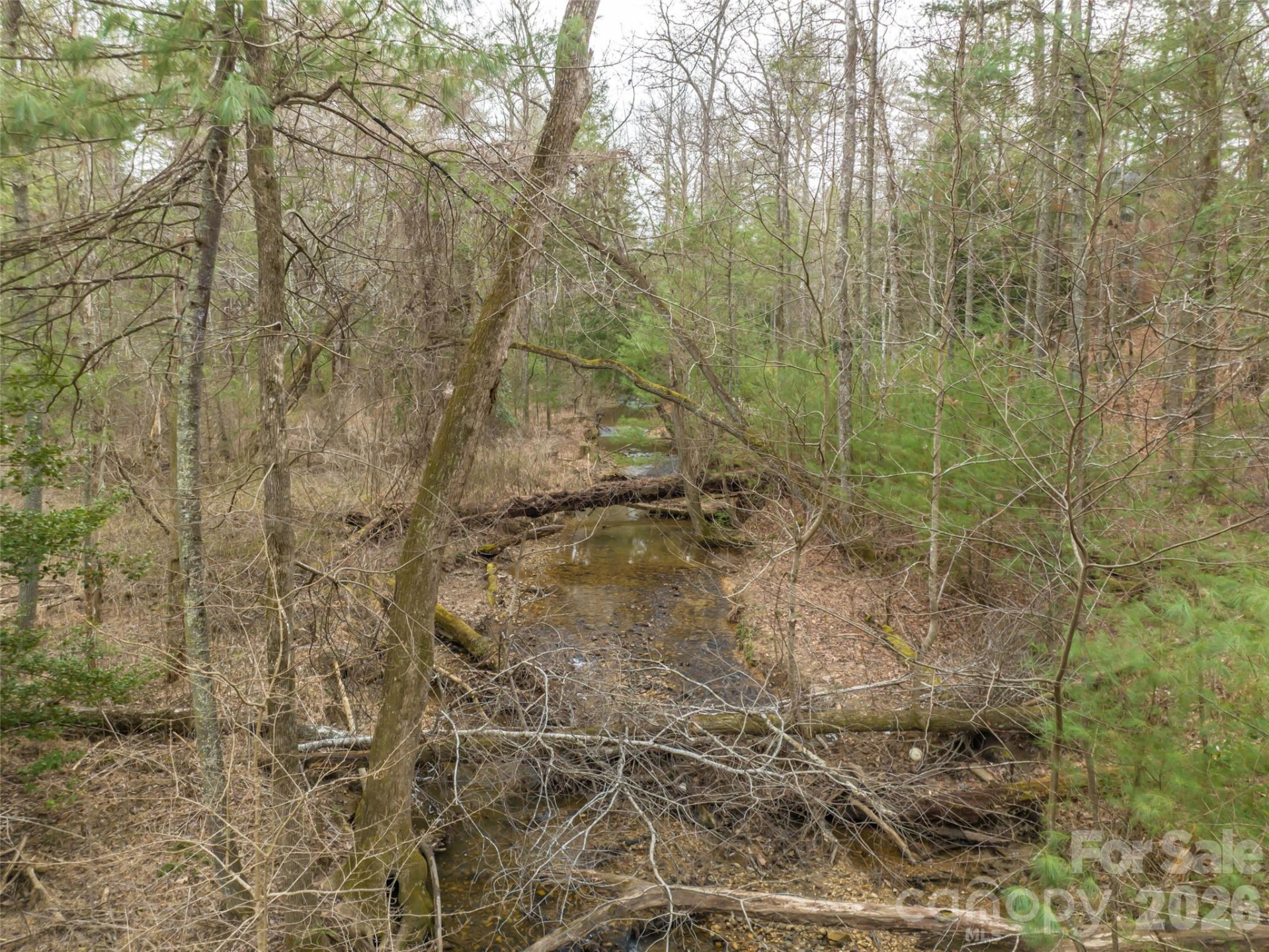 9999 Cedar Hill Drive #12 - Photo 29