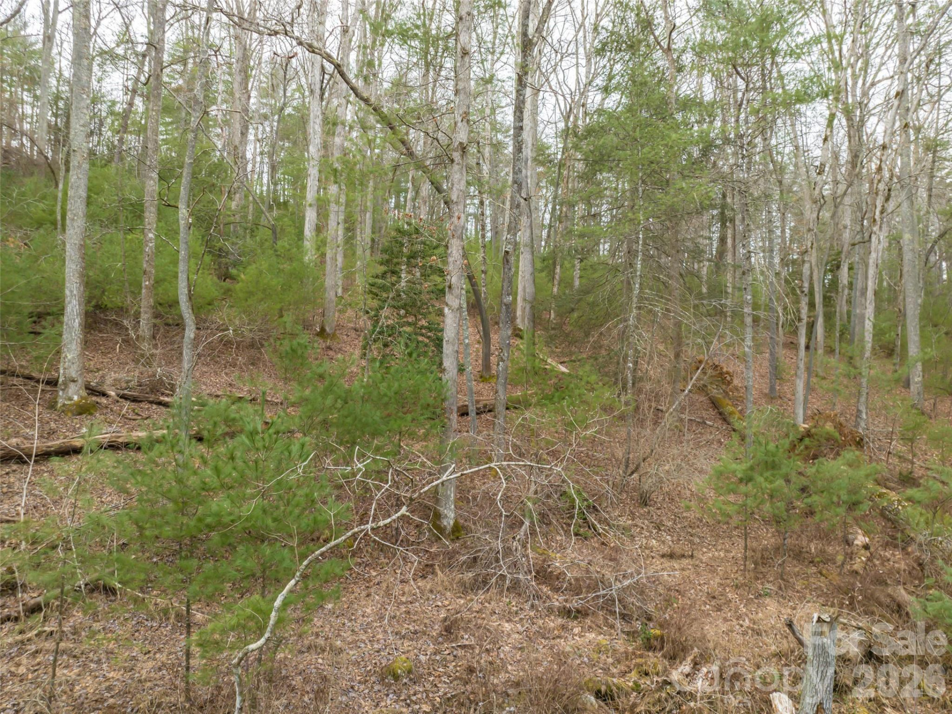 9999 Cedar Hill Drive #12 - Photo 30