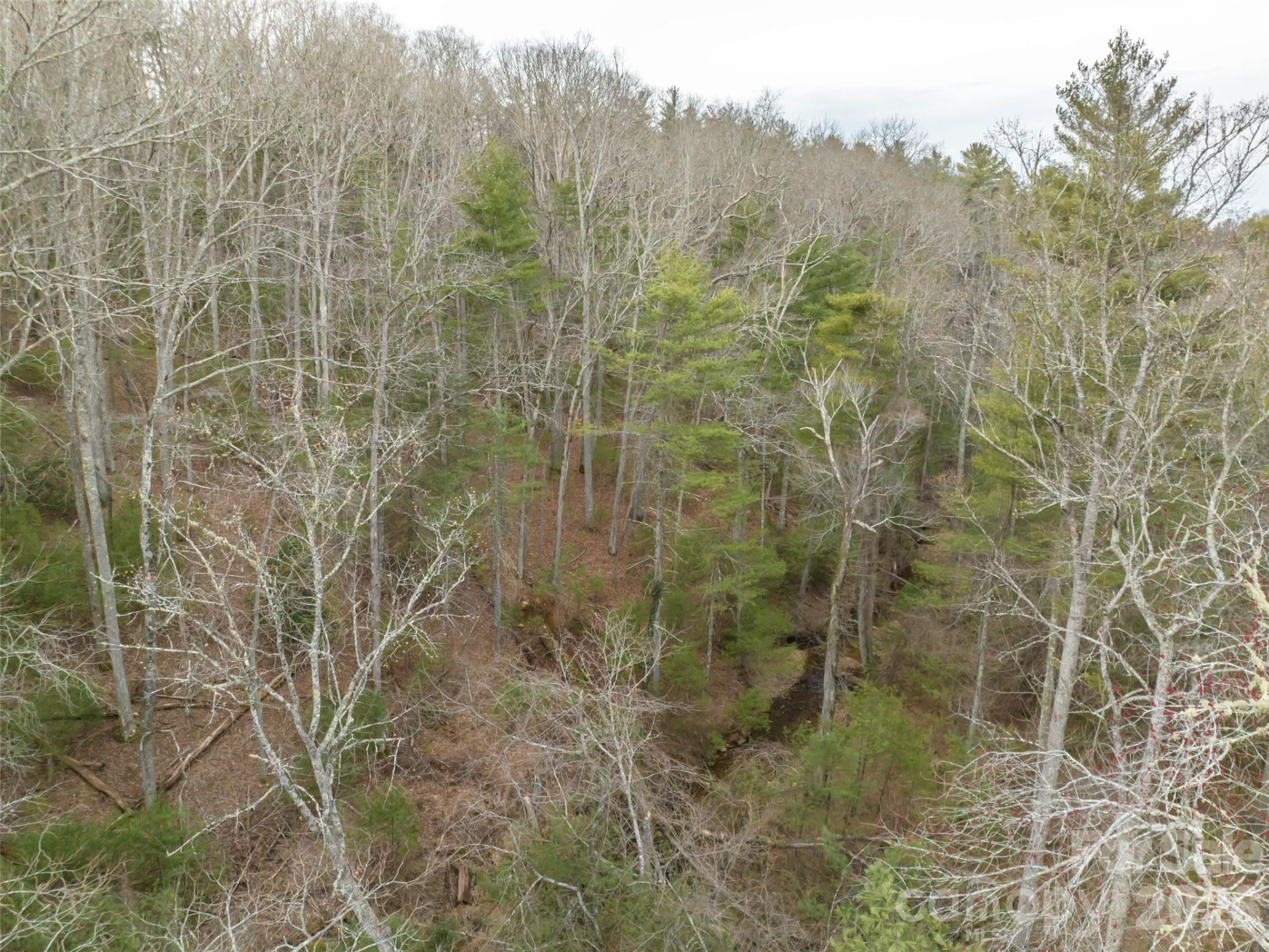 9999 Cedar Hill Drive #12 - Photo 32