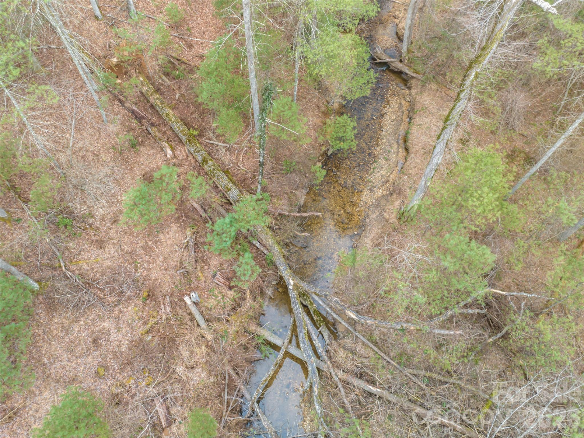 9999 Cedar Hill Drive #12 - Photo 33