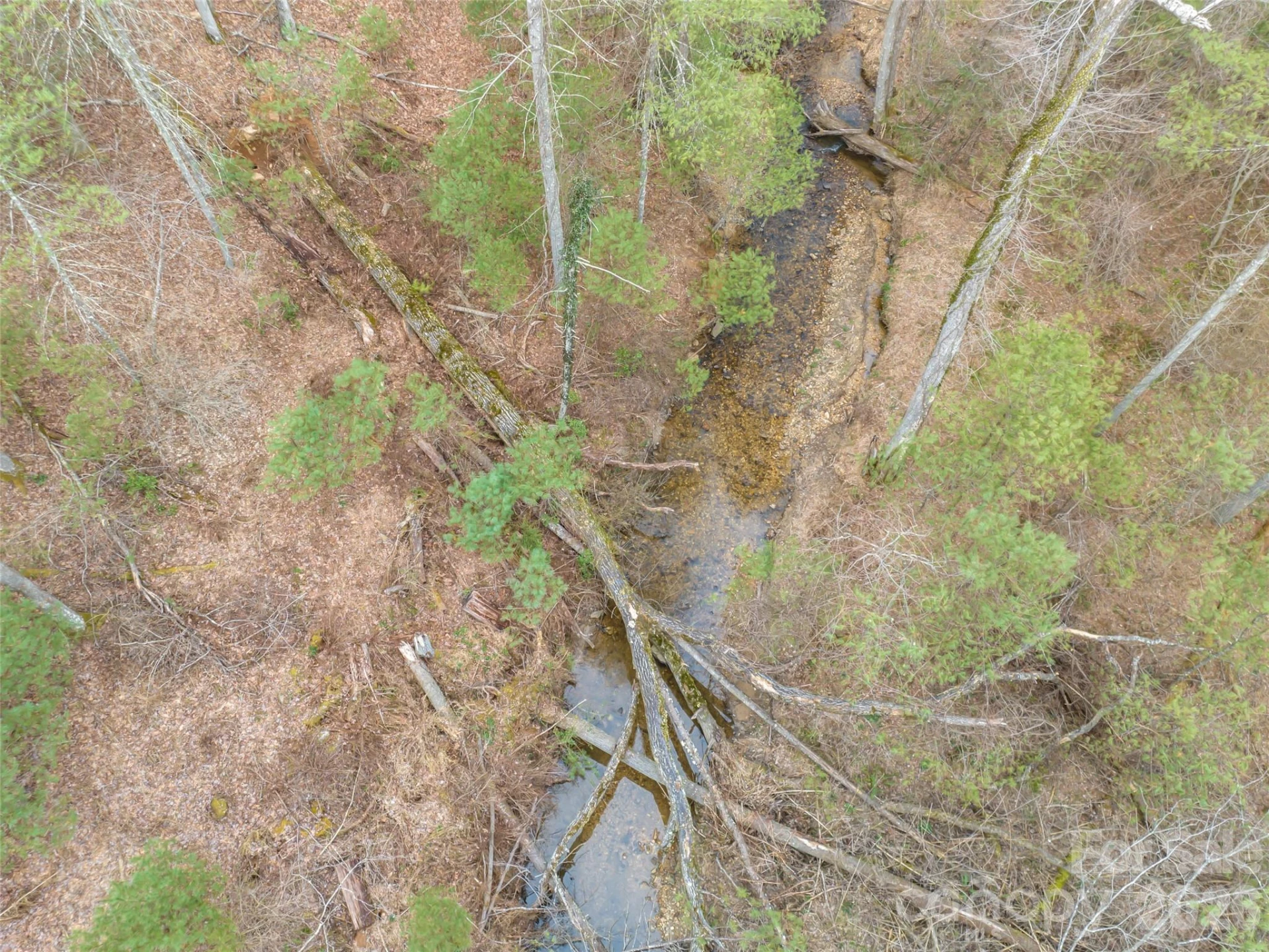 9999 Cedar Hill Drive #12 - Photo 33