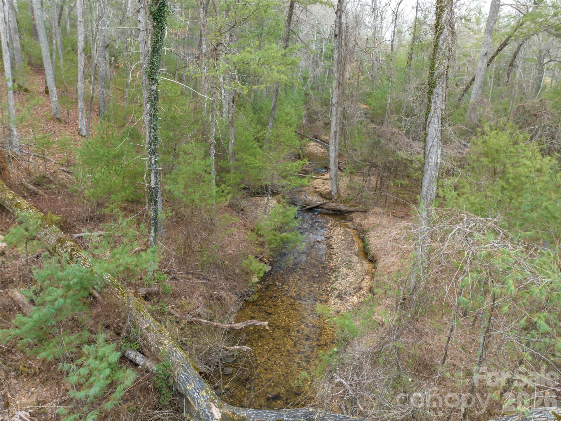 9999 Cedar Hill Drive #12 - Photo 34