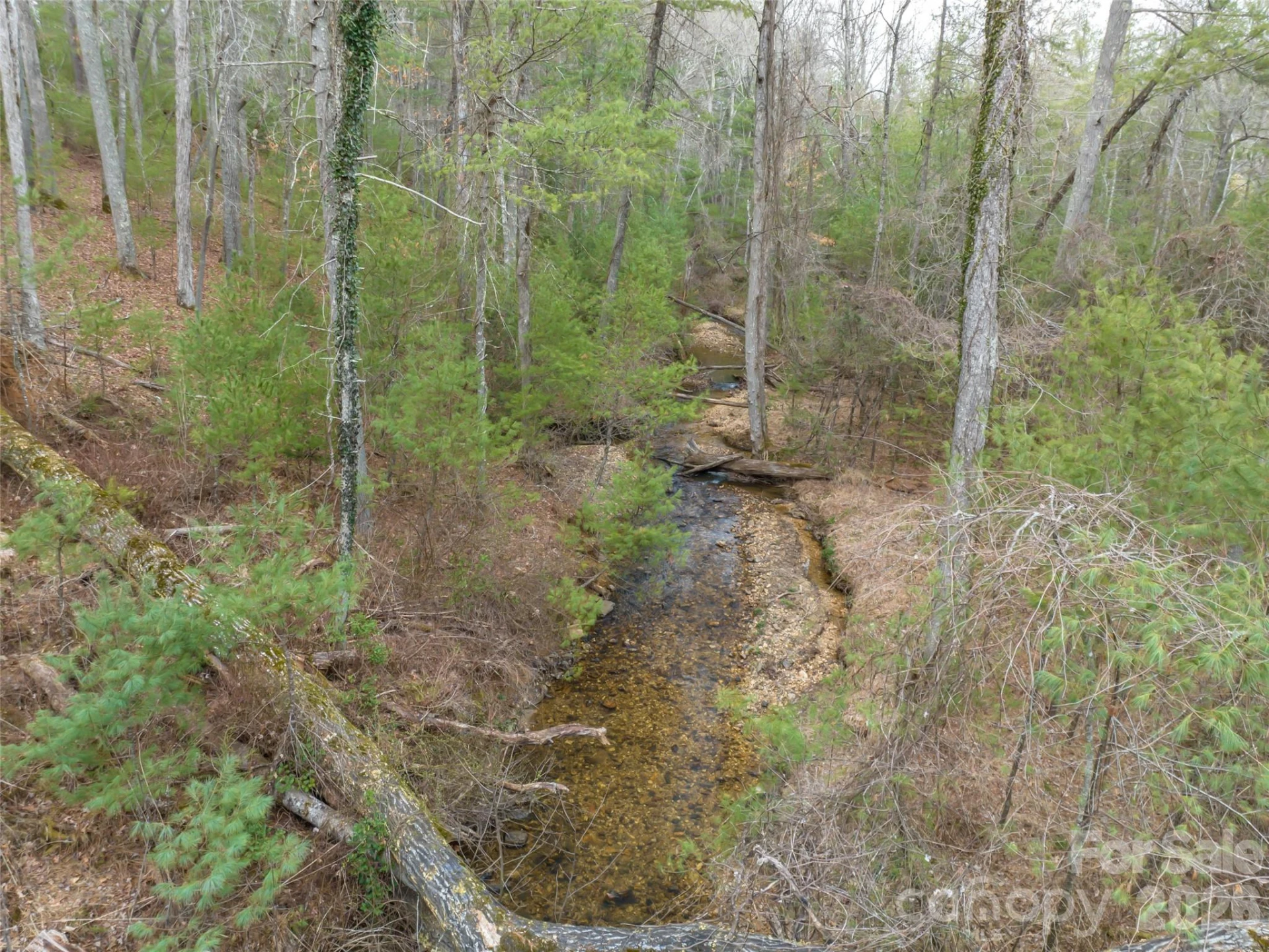 9999 Cedar Hill Drive #12 - Photo 34