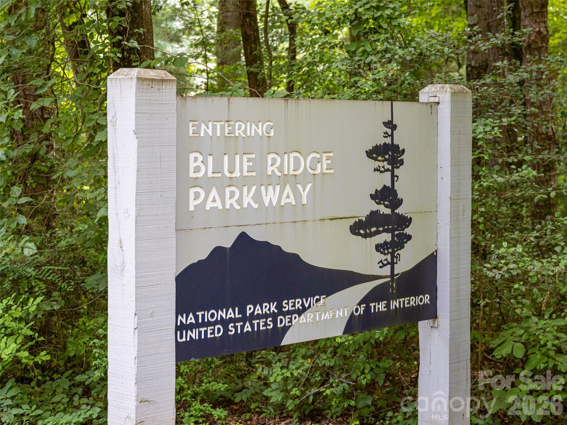 9999 Cedar Hill Drive #12 - Photo 41