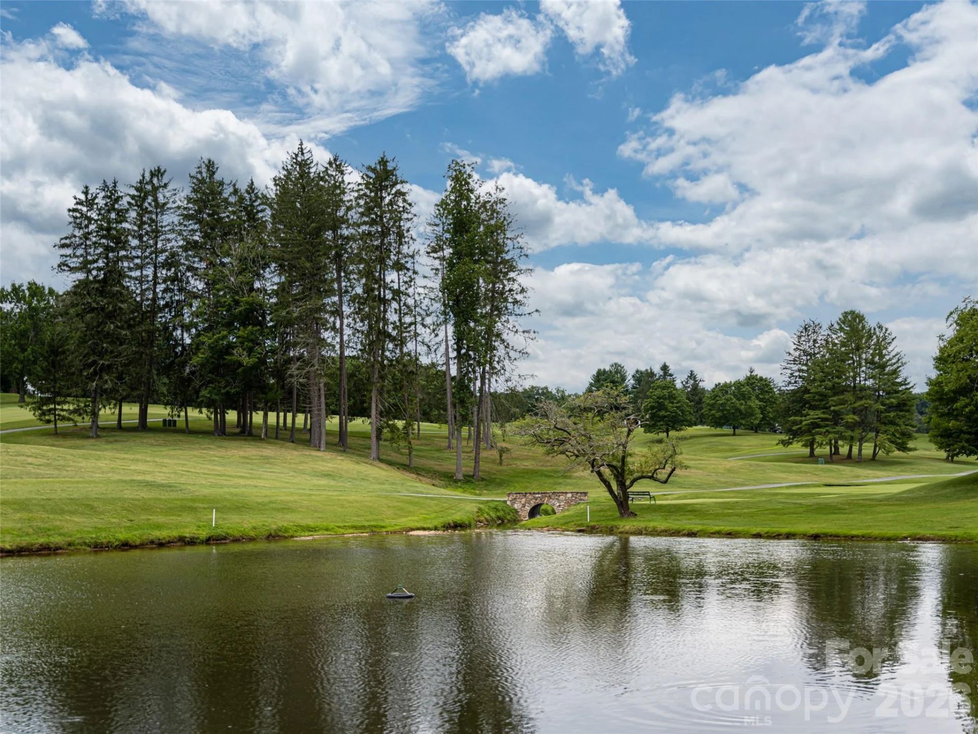 9999 Cedar Hill Drive #12 - Photo 42