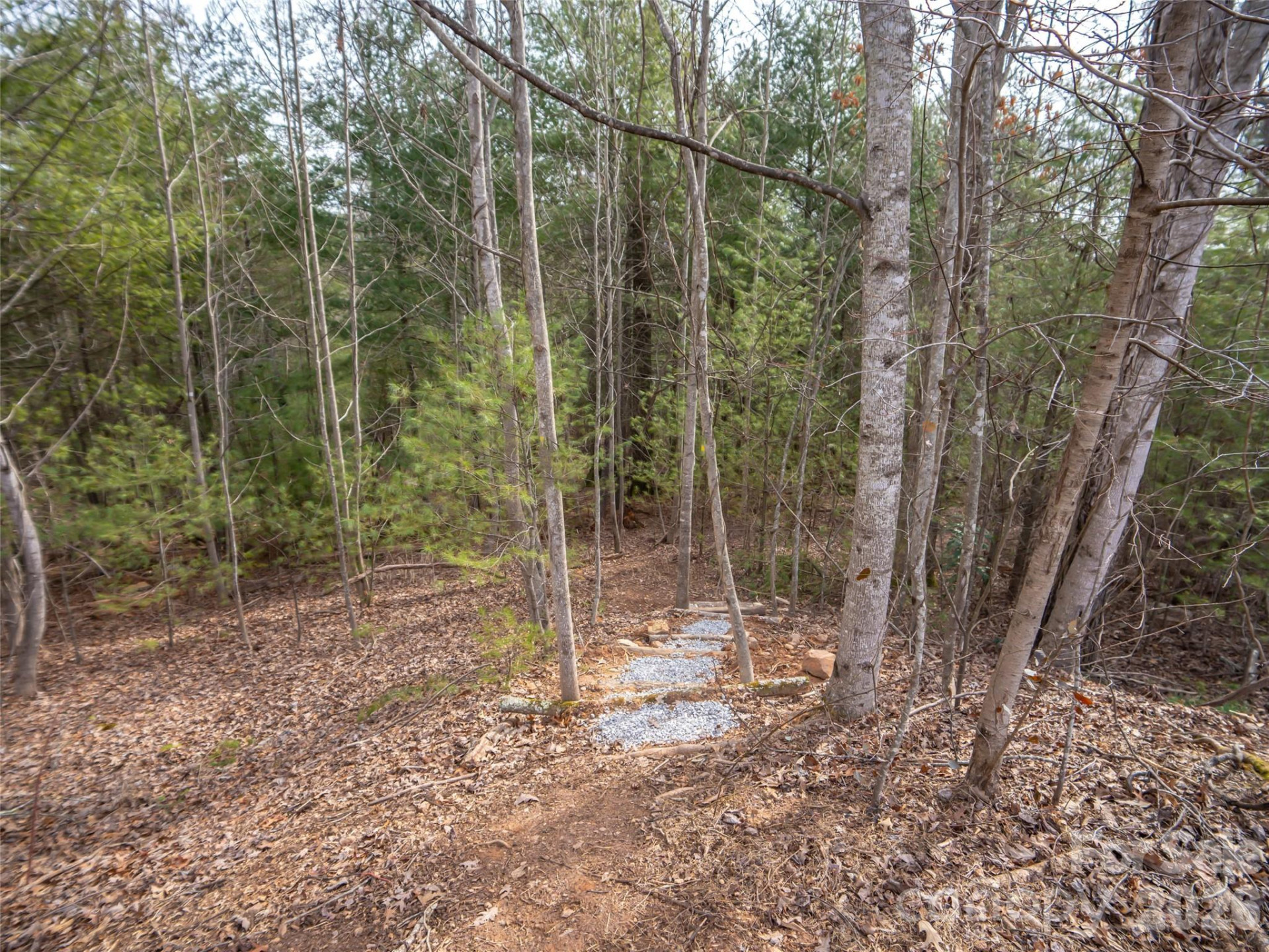 9999 Cedar Hill Drive #12 - Photo 8