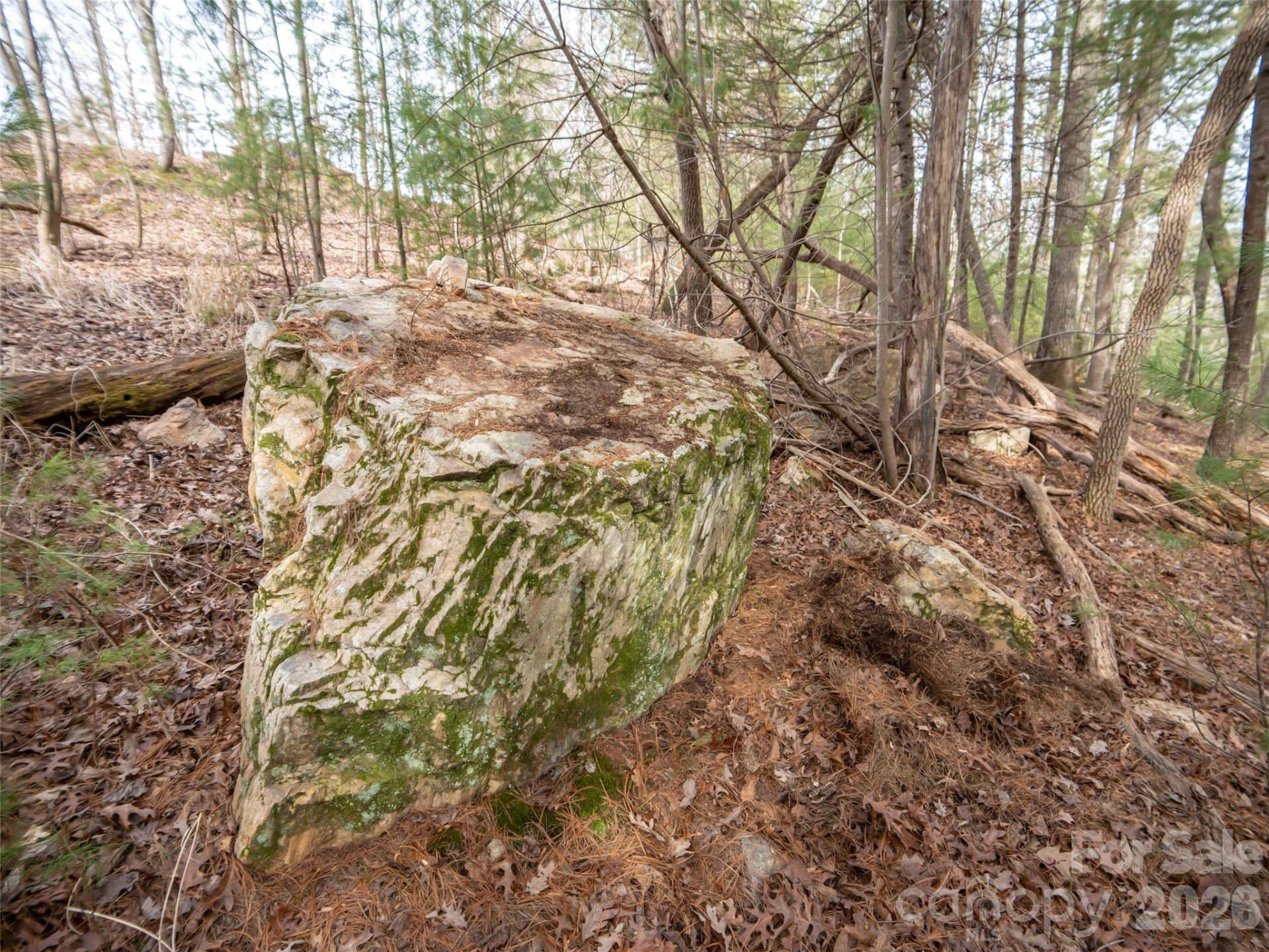 9999 Cedar Hill Drive #12 - Photo 10