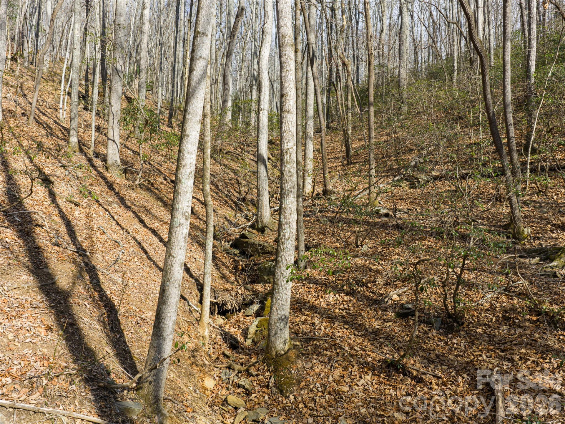 40 Cedar Drive - Photo 11