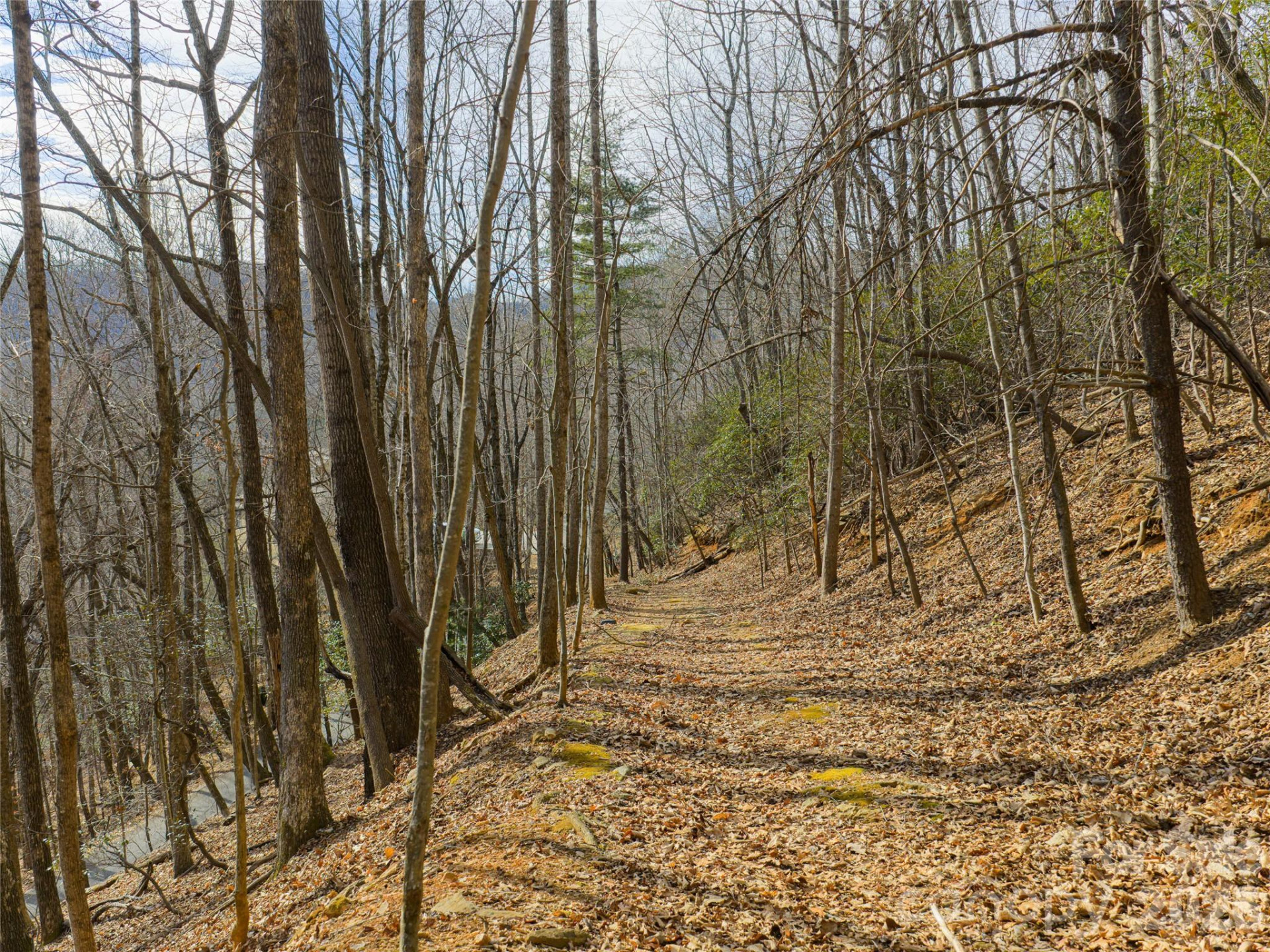 40 Cedar Drive - Photo 12