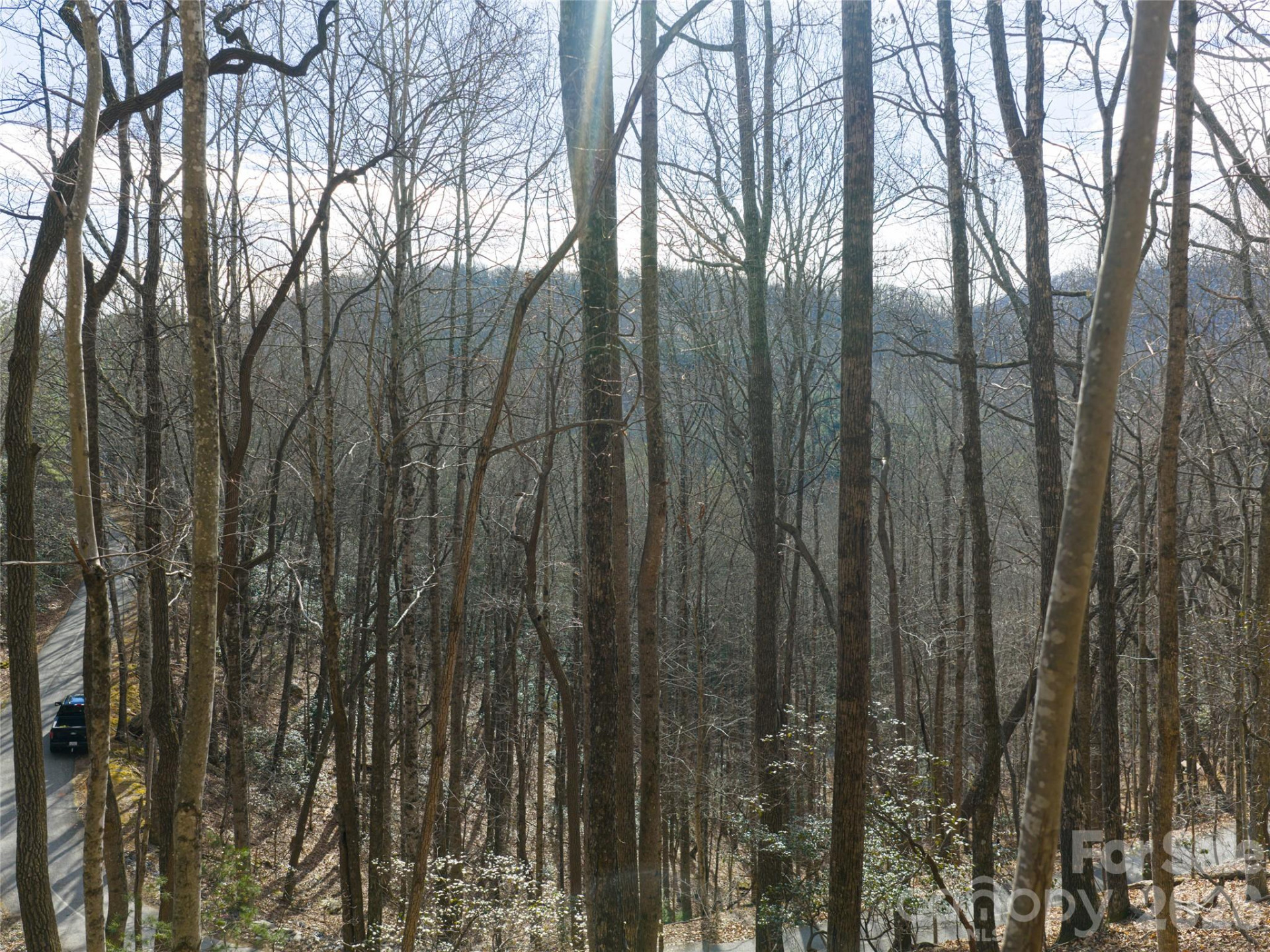 40 Cedar Drive - Photo 13