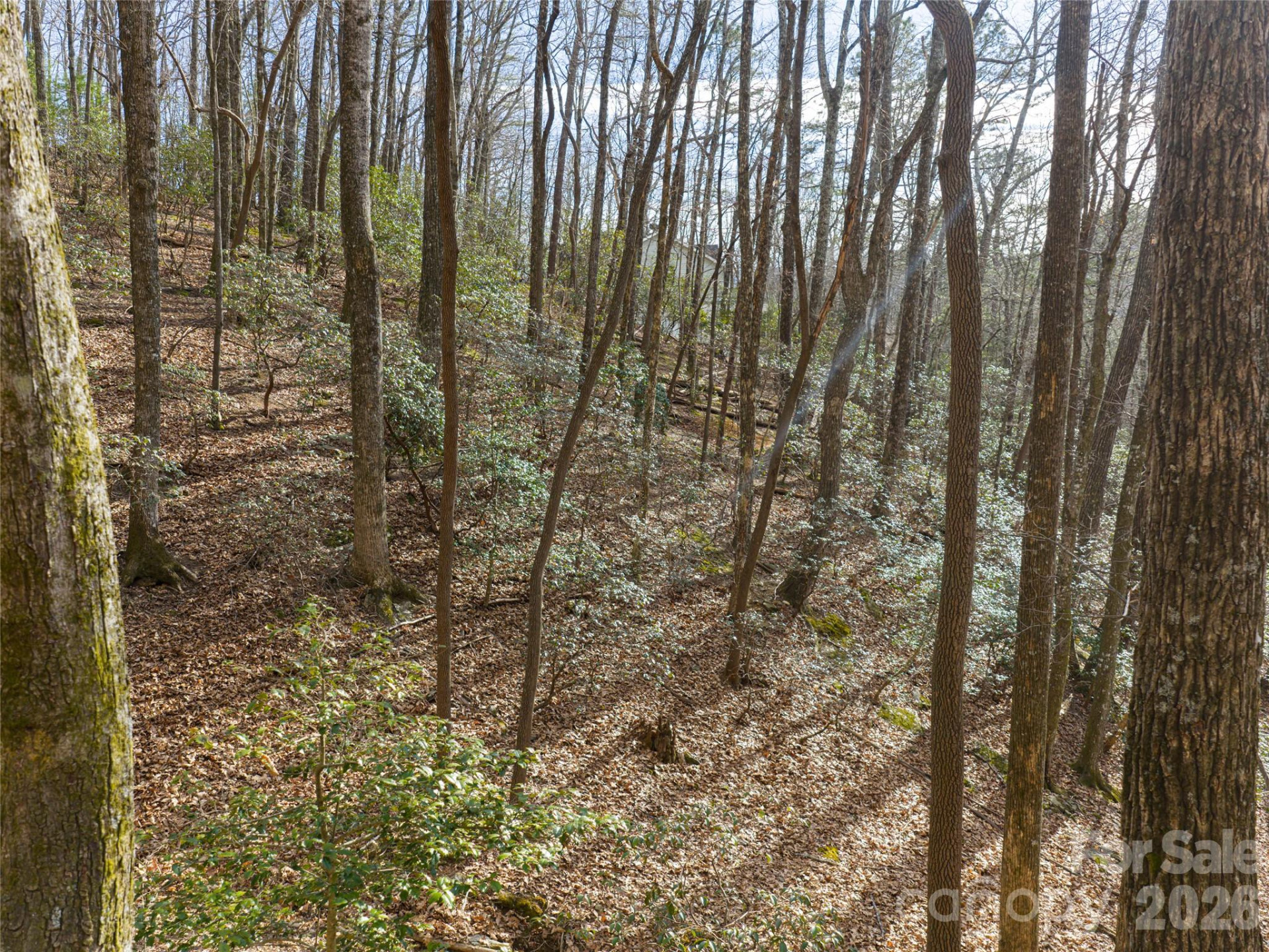 40 Cedar Drive - Photo 14