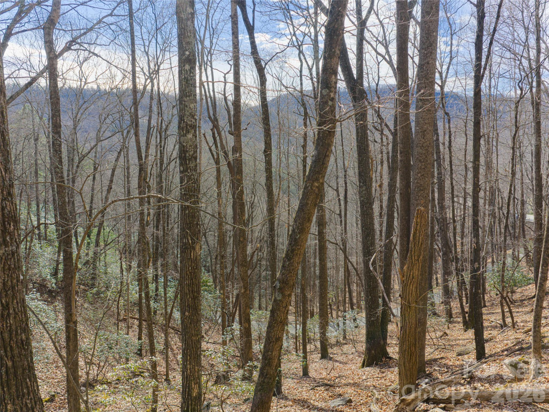 40 Cedar Drive - Photo 15